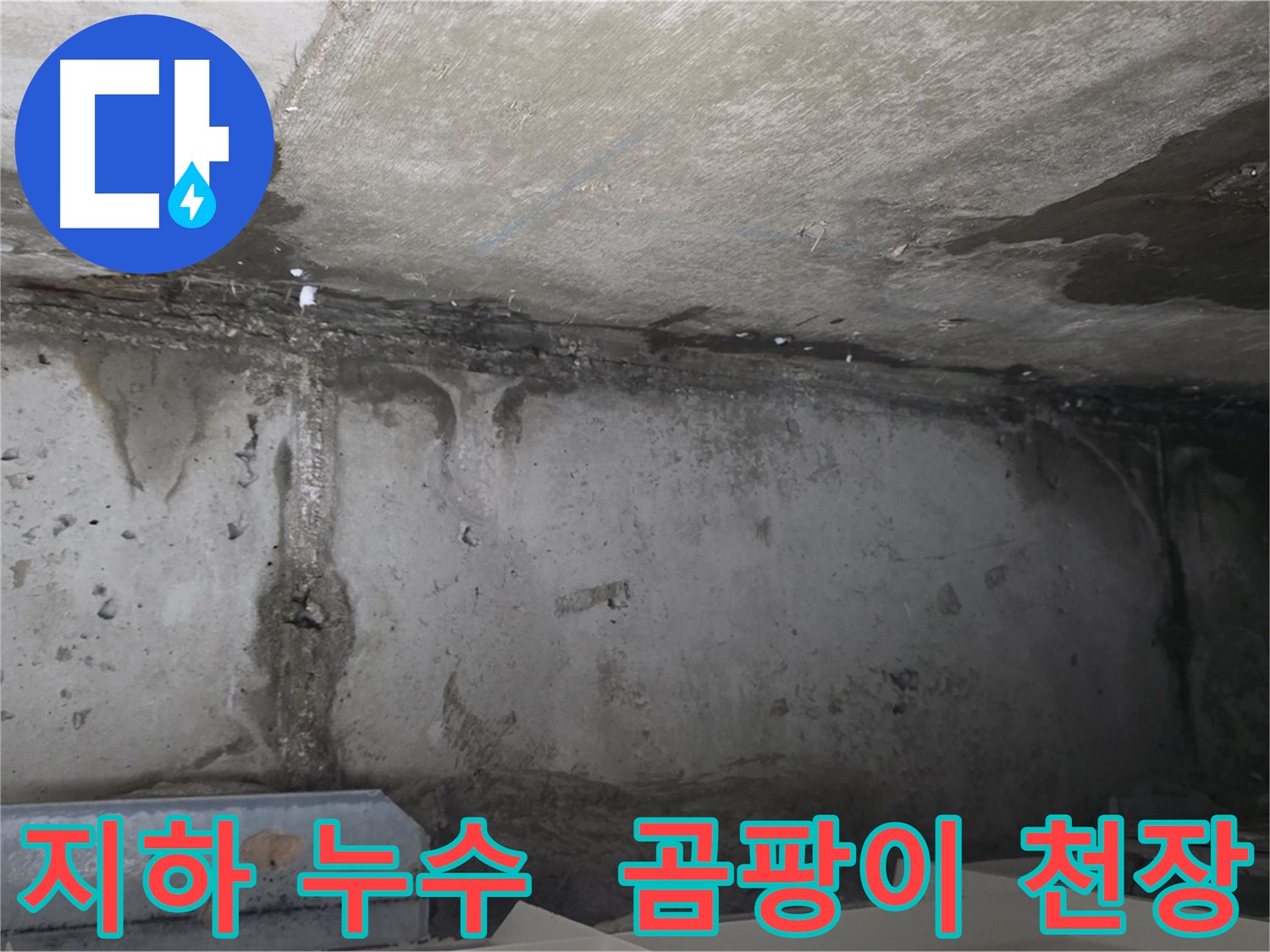남양주 오남 두산 지하 누수 - 곰팡이 젖은 천장