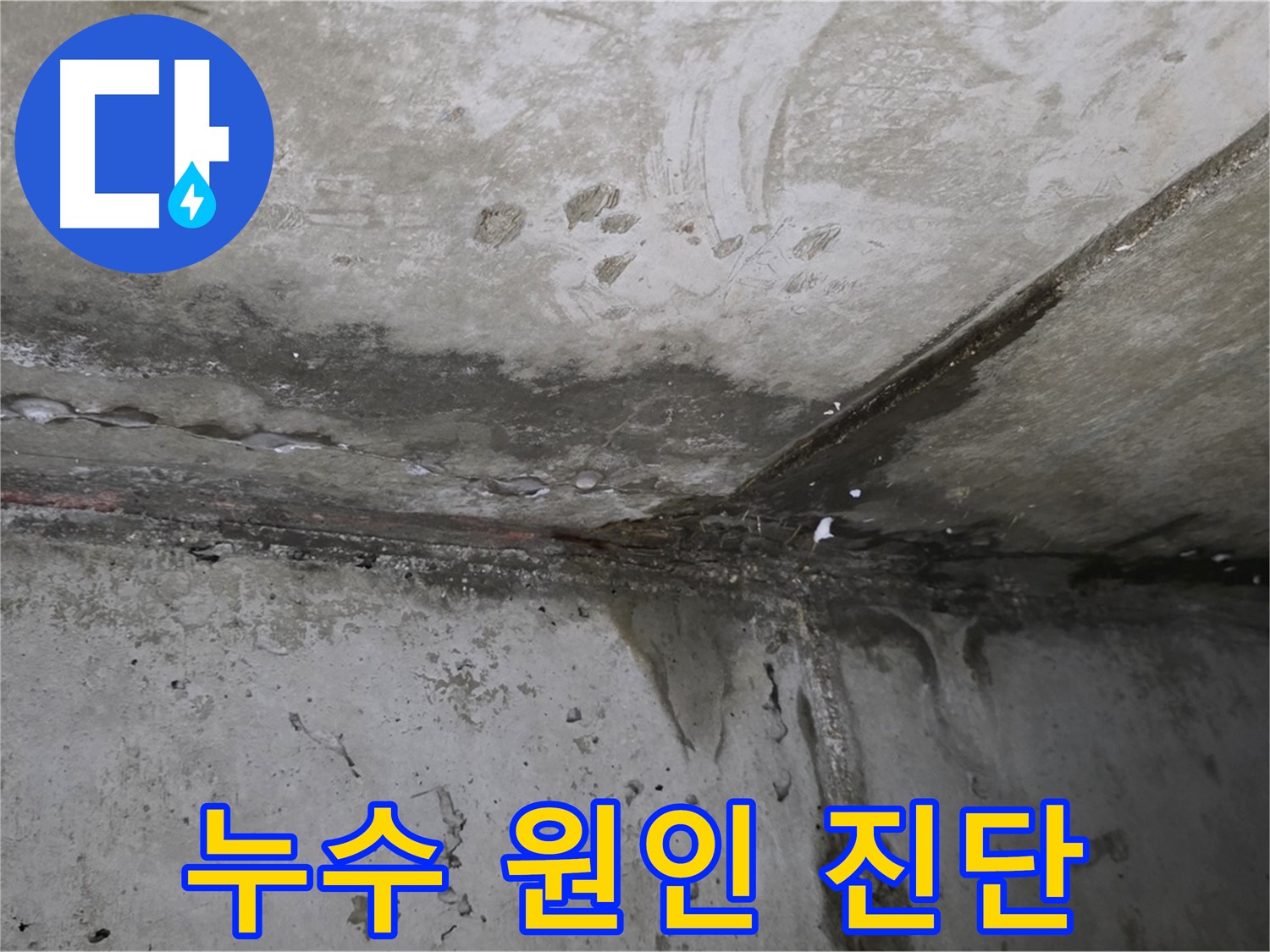 남양주 오남 두산아파트 누수 원인 - 완벽한 진단으로 해결