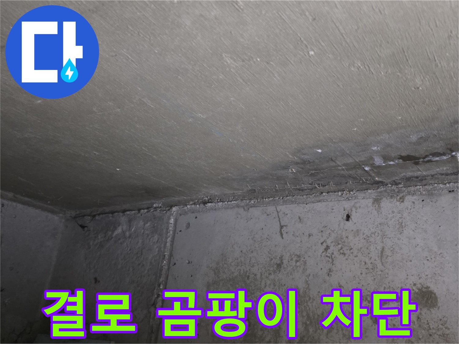 남양주 오남읍 두산아파트 결로 - 벽 곰팡이 완벽 차단