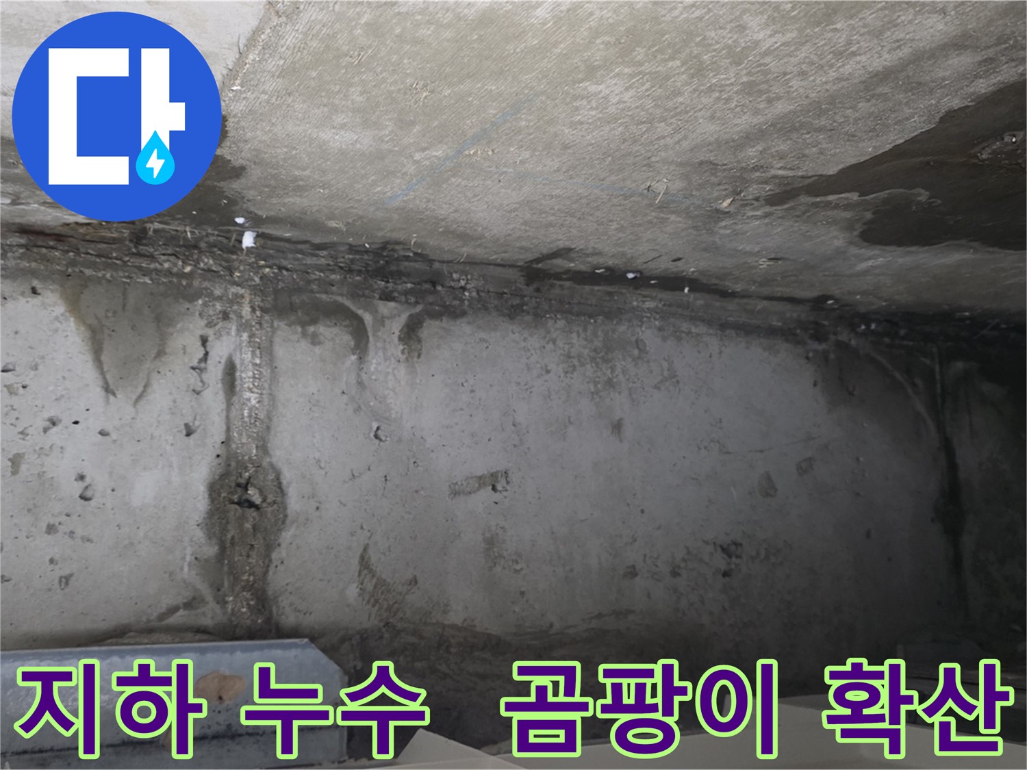 오남 두산아파트 지하 누수 - 곰팡이 확산