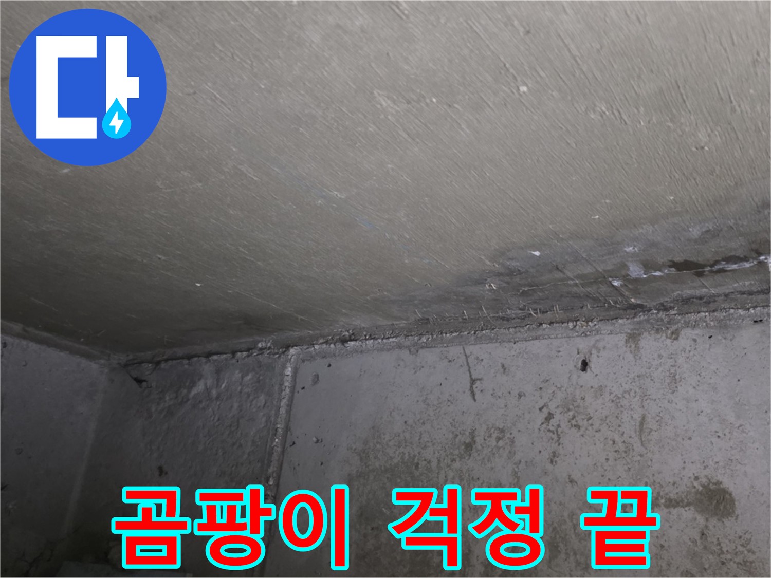 오남읍 두산아파트 천장 곰팡이 - 누수 탐지 및 공사로 해결