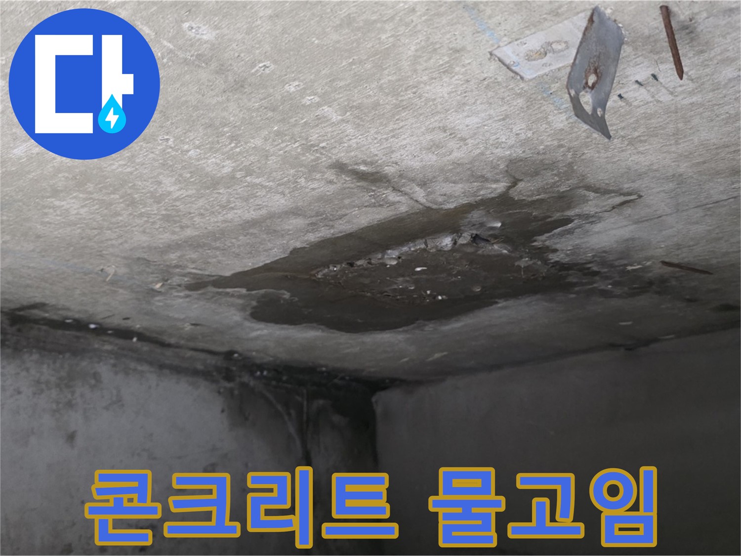 콘크리트 천장 물고임 - 남양주 오남 두산아파트 누수