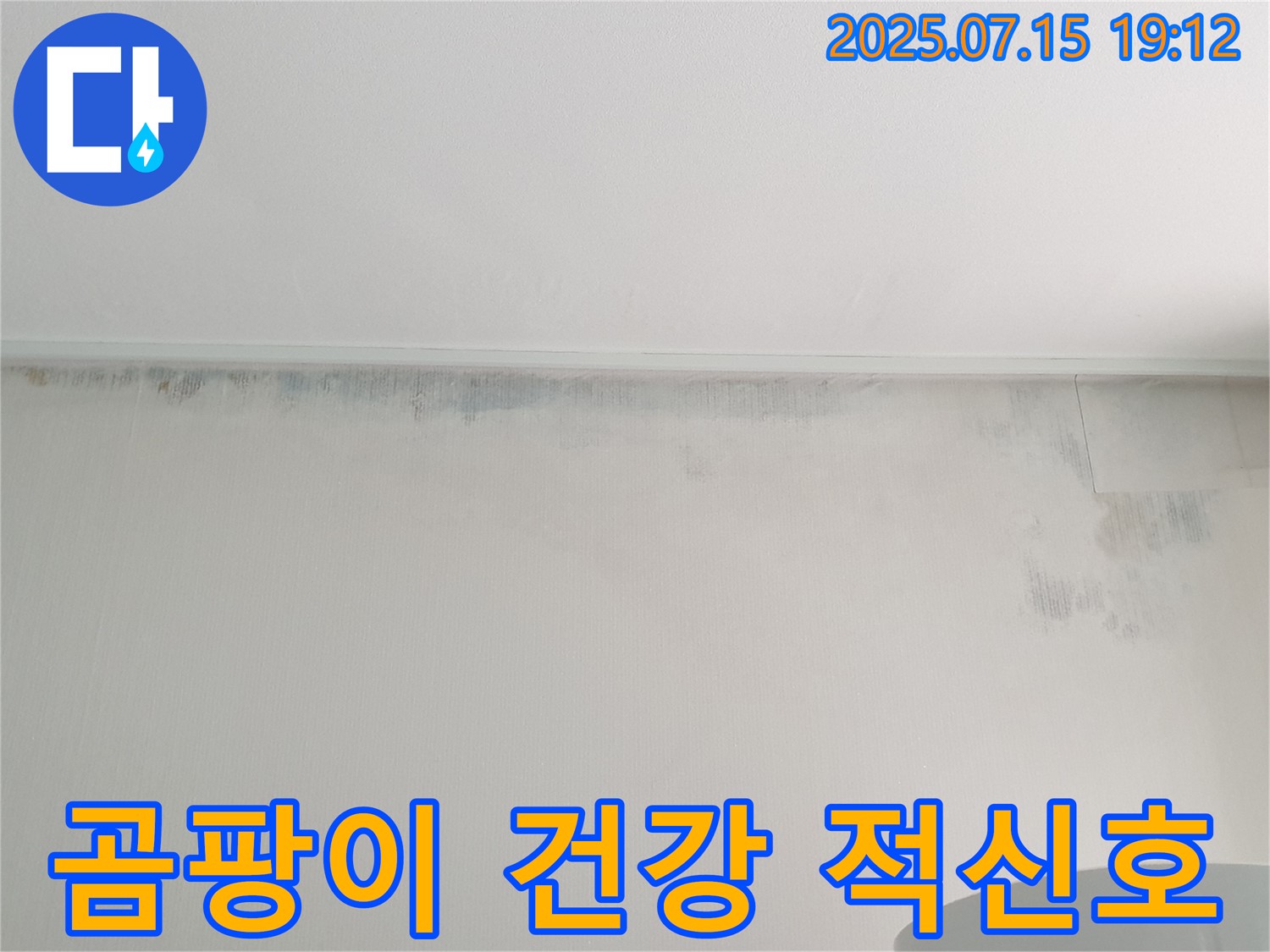 노원구 중계3동 청구3차 아파트 누수 - 곰팡이 가득한 벽 - 건강에 위험 신호