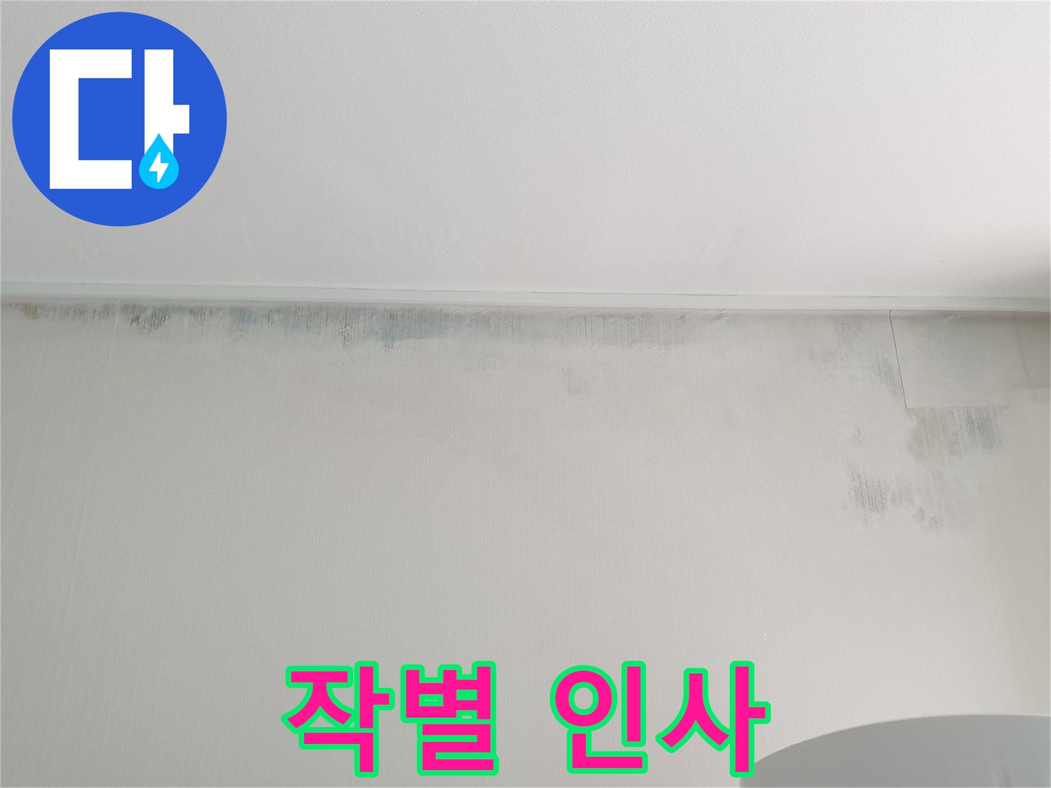 노원구 중계동 곰팡이 - 곰팡이와의 작별