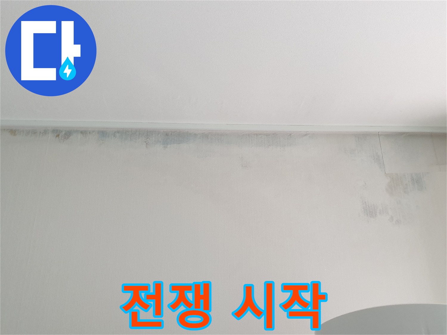 노원구 중계동 곰팡이 - 곰팡이와의 전쟁 시작