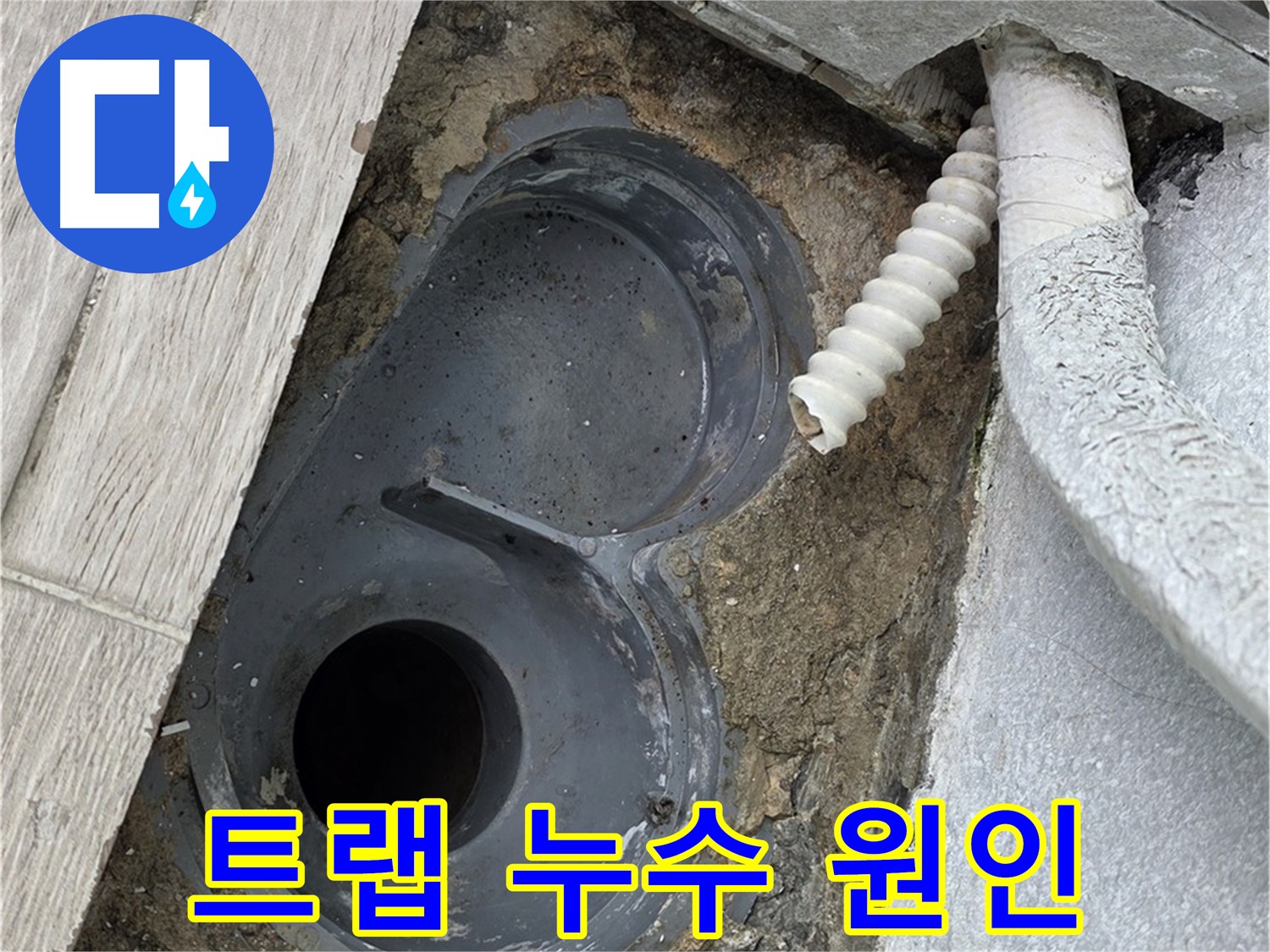 노원구 중계동 청구3차 욕실 - 트랩 주변 누수 원인 꼼꼼히 파악 중