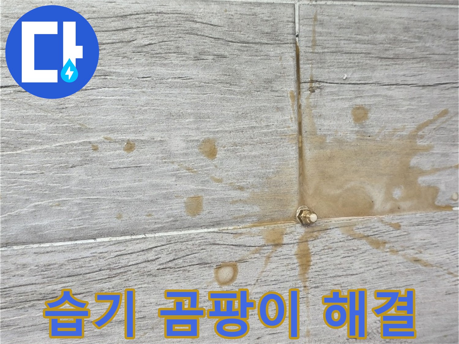 마루 아래 습기 - 인젝션 방수로 곰팡이 걱정 없이 쾌적하게