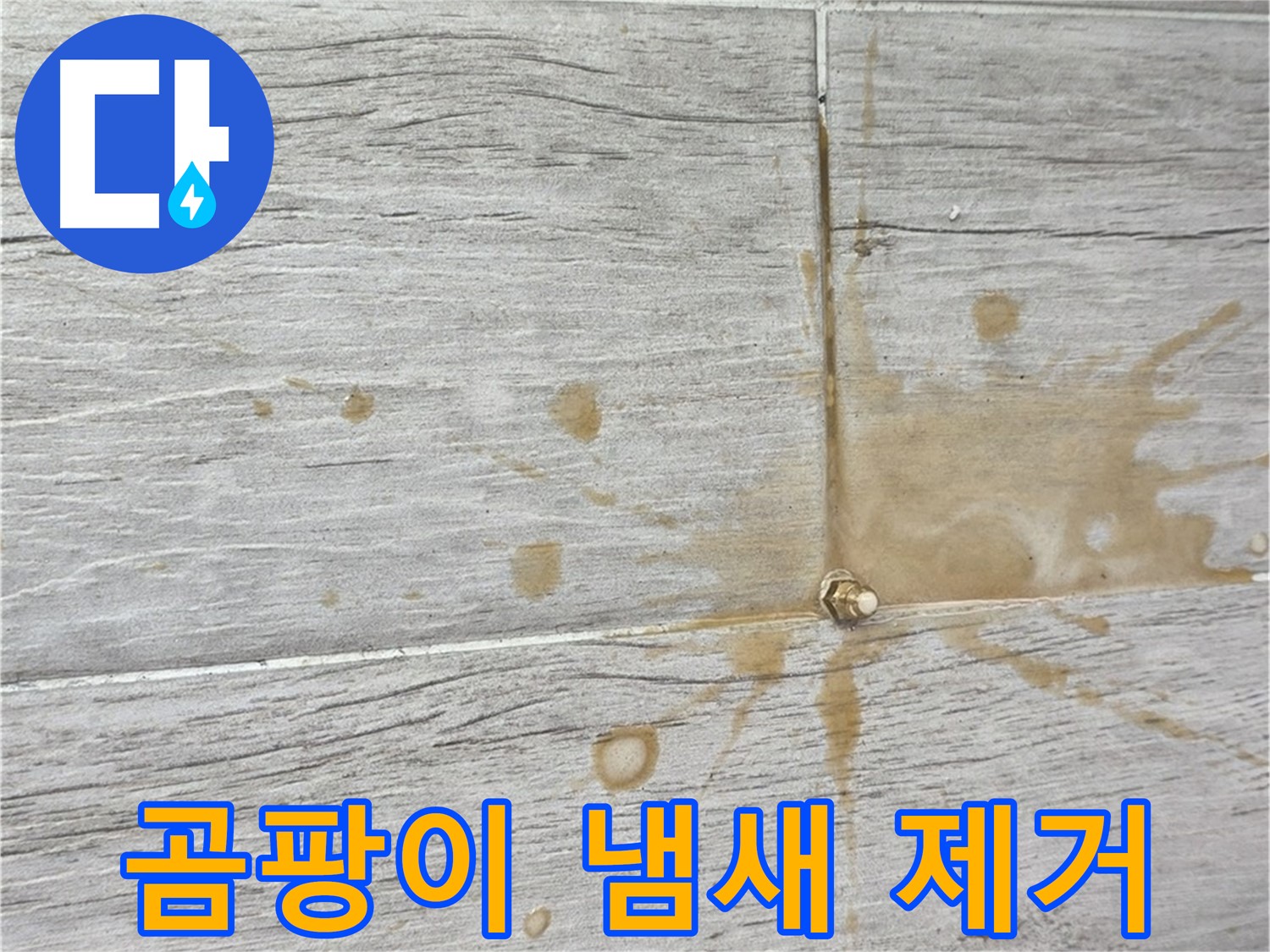 마루 틈새 곰팡이 냄새 - 친환경 인젝션 방수로 싹 잡아드립니다