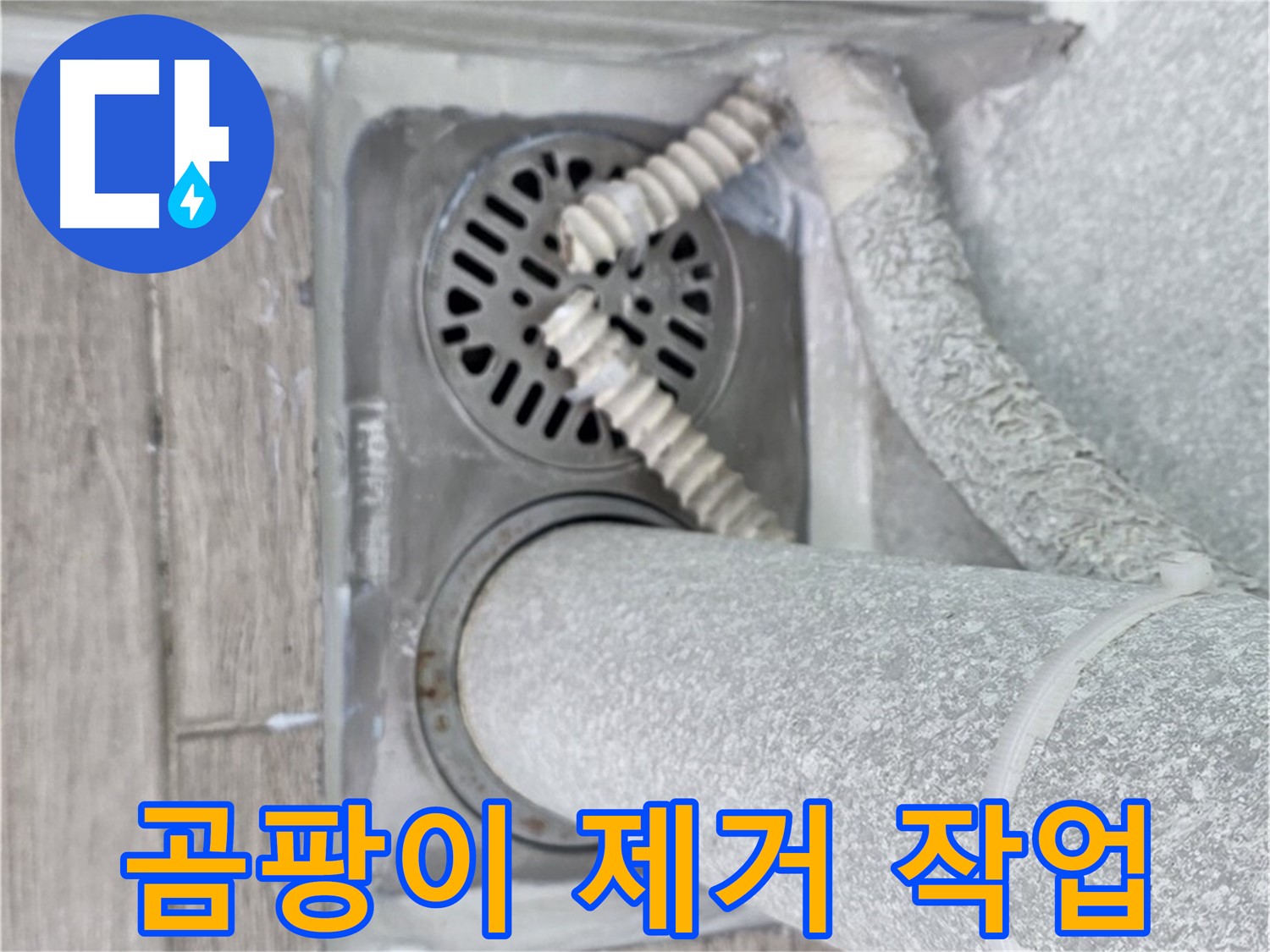 중계2동 청구3차 107동 아파트 욕실 누수 - 배수구 주변 곰팡이 깨끗하게 제거