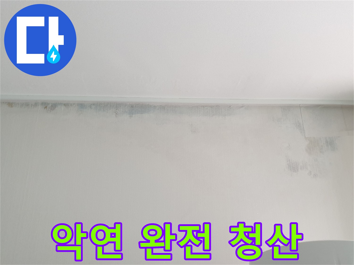 중계동 아파트 곰팡이 - 곰팡이와의 악연 완전 청산