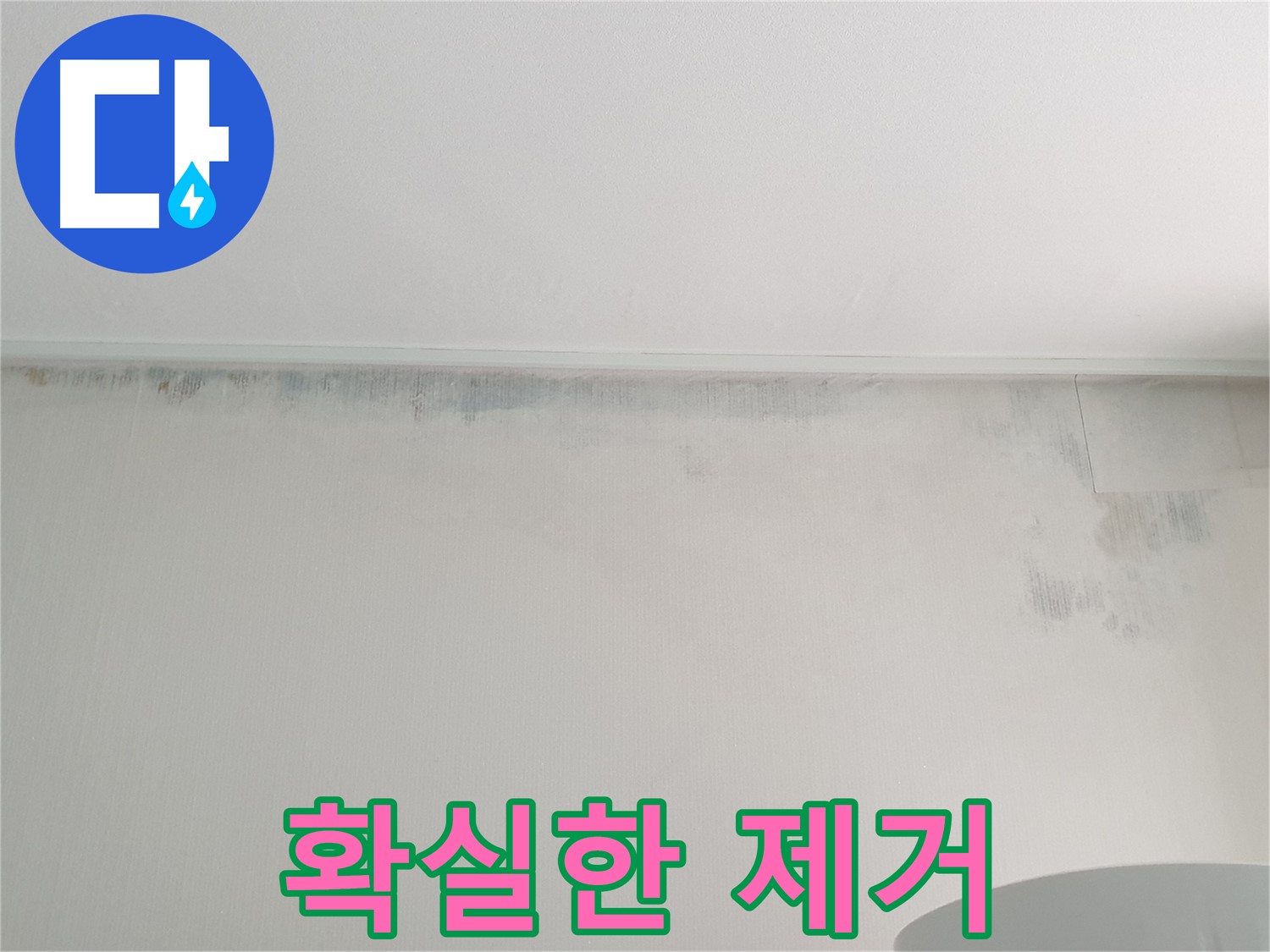 중계동 아파트 벽 곰팡이 - 확실한 제거와 재발 방지 약속