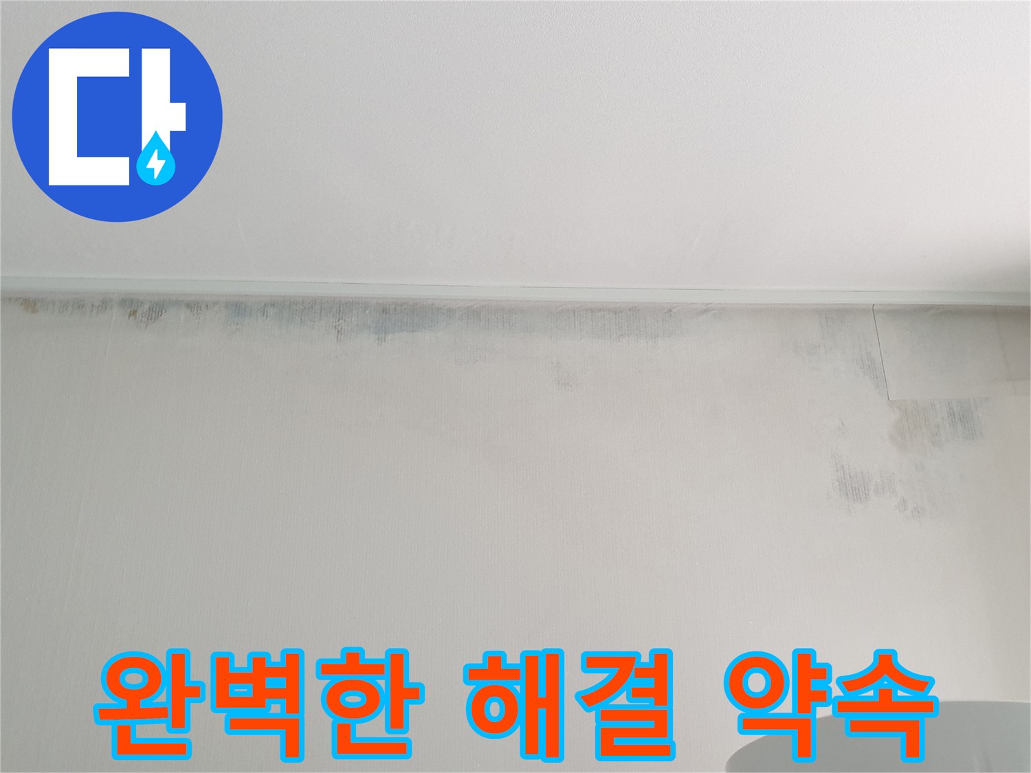 중계동 아파트 천장 곰팡이 - 완벽한 해결 약속