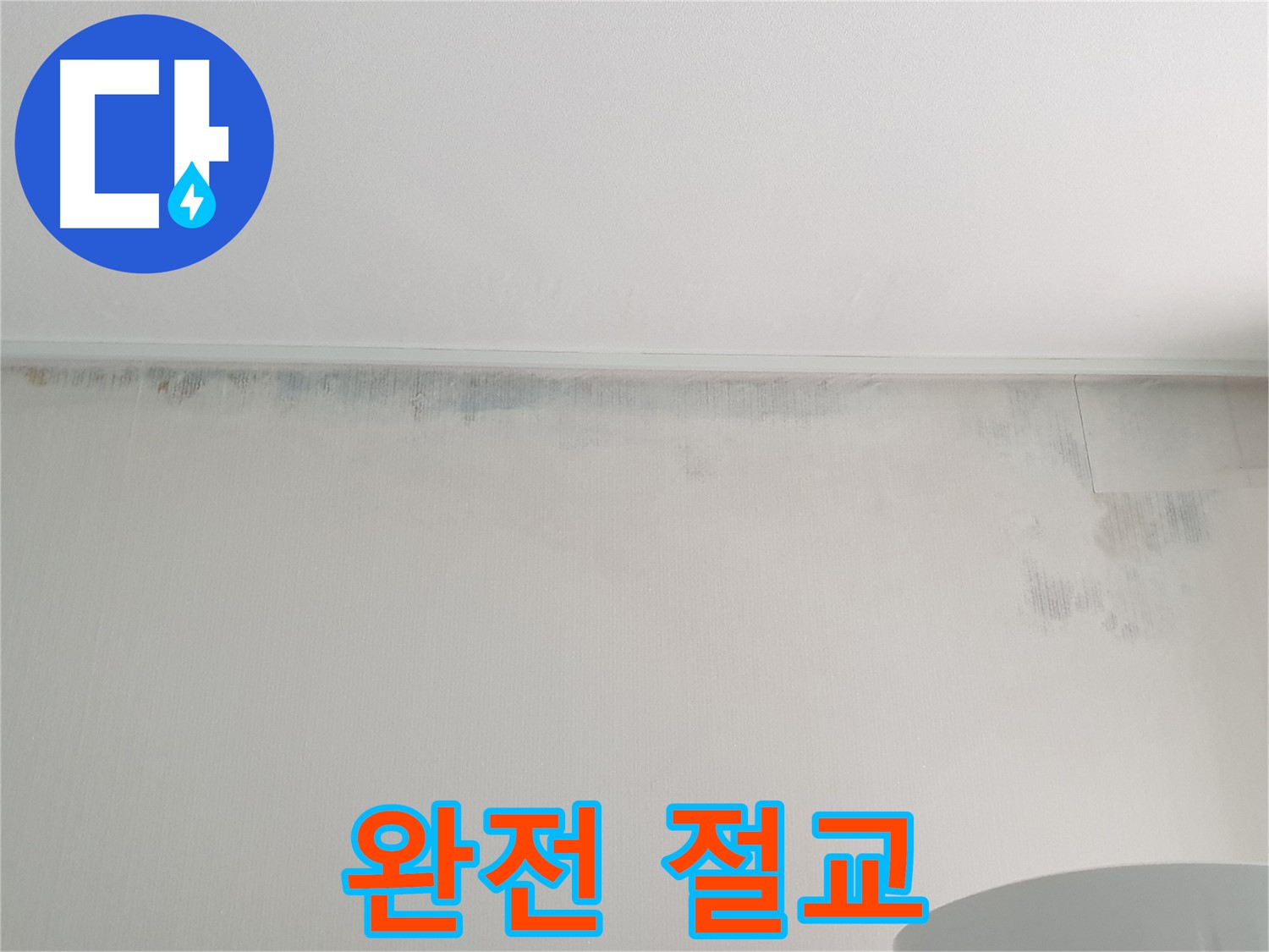 중계동 청구3차 곰팡이 - 곰팡이와 완전 절교