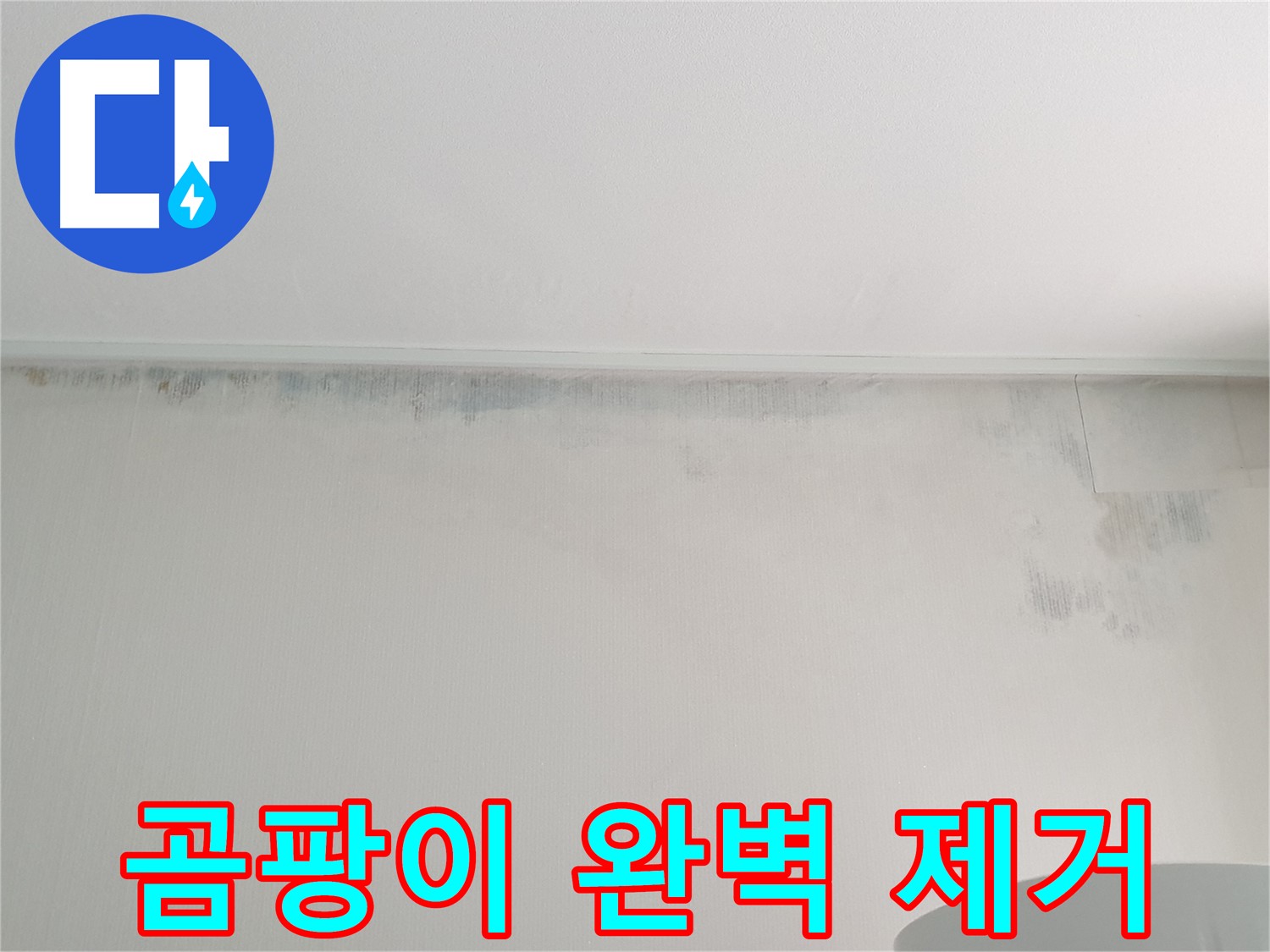 중계동 청구3차 아파트 곰팡이 누수 - 곰팡이 완벽 제거 및 방지