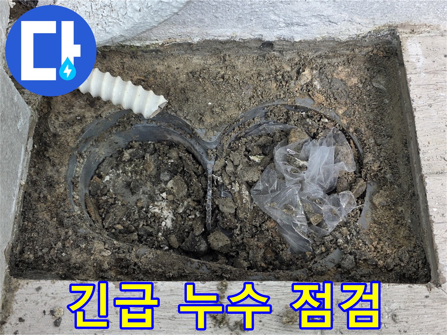 중계동 청구3차 아파트에서 땅속 수도관 누수 긴급 점검을 진행하고 있습니다 - 신속한 점검으로 피해 최소화!