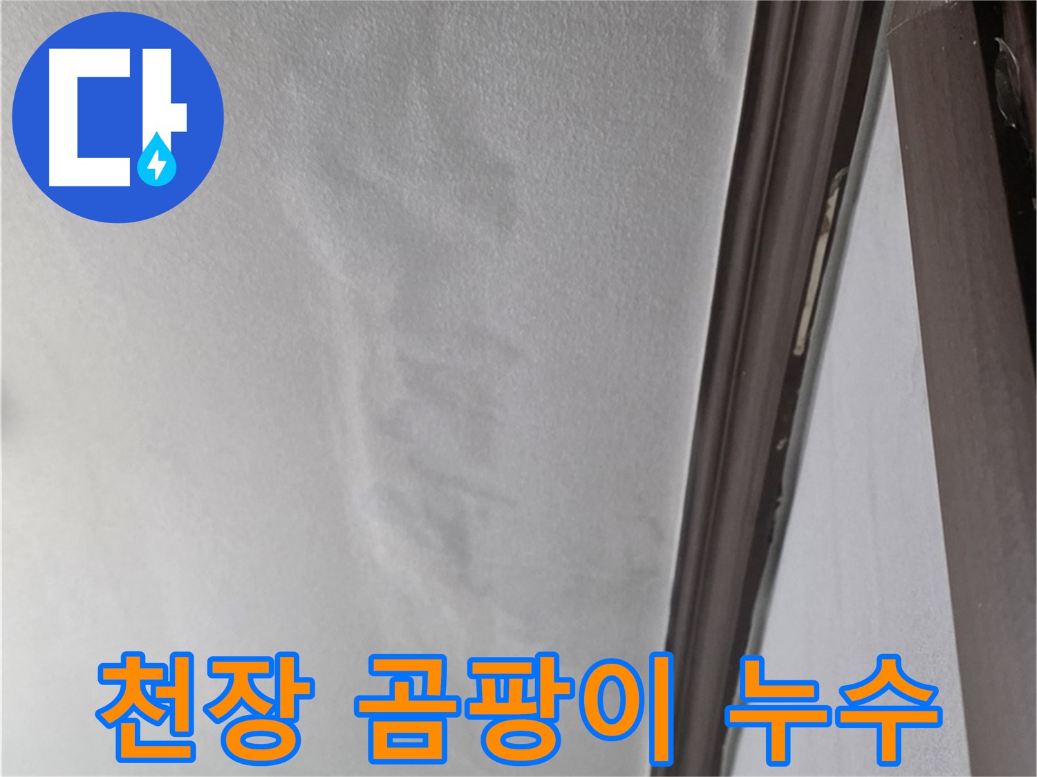 강북구 천장 누수 - 천장 곰팡이 발생