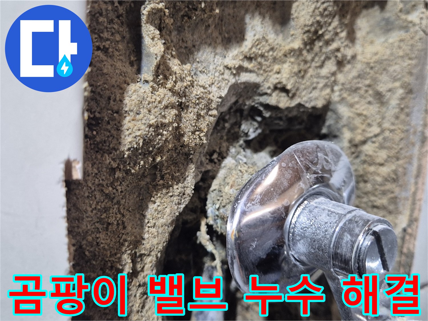 마포구 합정동 현대빌라 - 곰팡이 핀 샤워기 밸브 주변 누수 해결