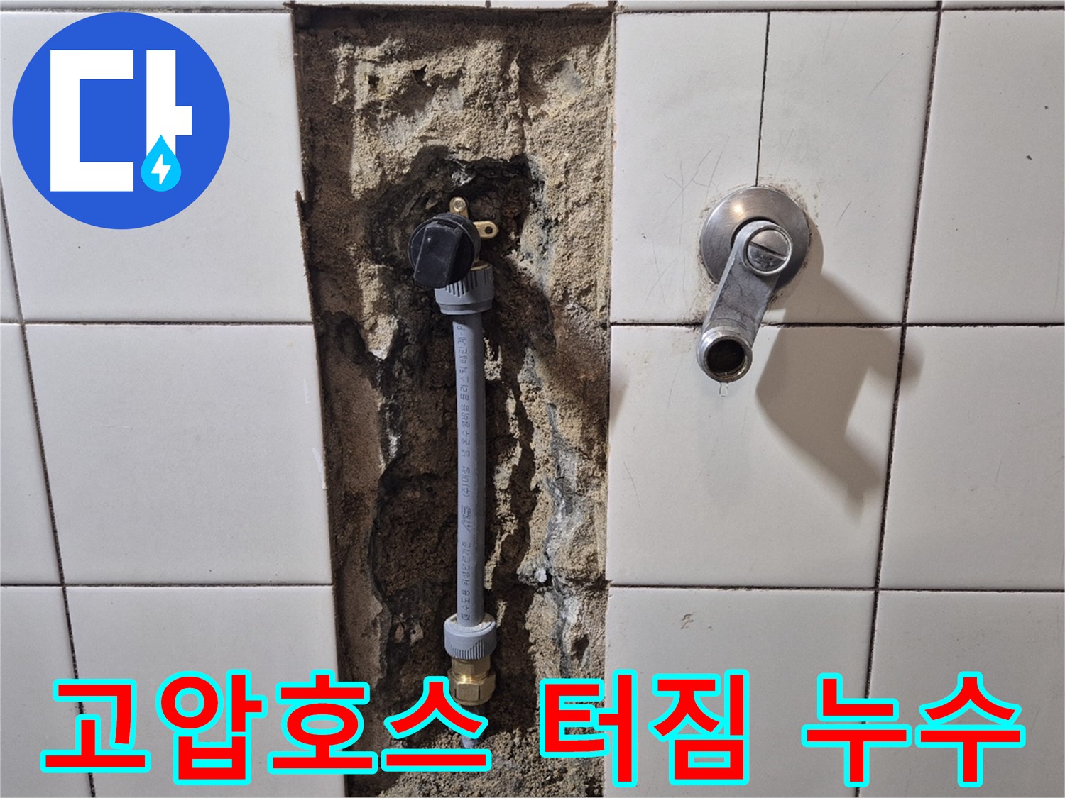 마포구 합정동 현대빌라 누수 - 샤워기 수전 연결부 고압호스 터짐으로 누수 발생