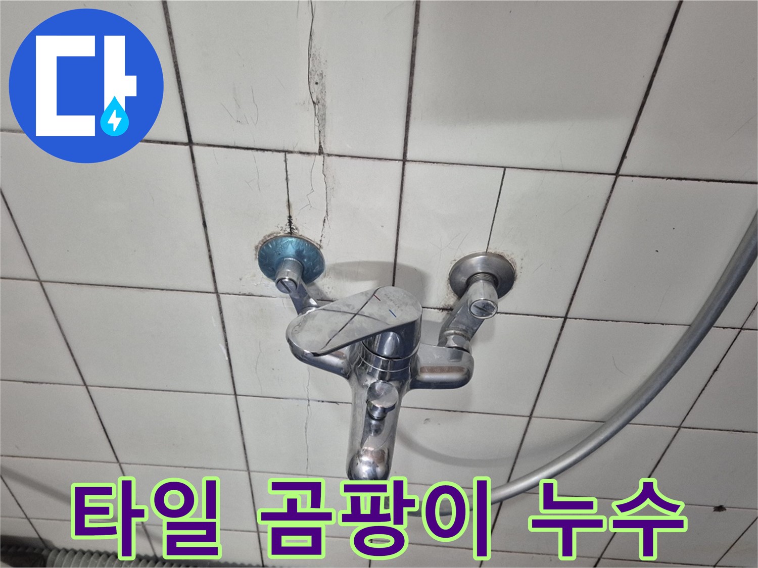 샤워기 수전 주변 타일 곰팡이 - 습기로 인한 곰팡이 번식 및 누수 의심