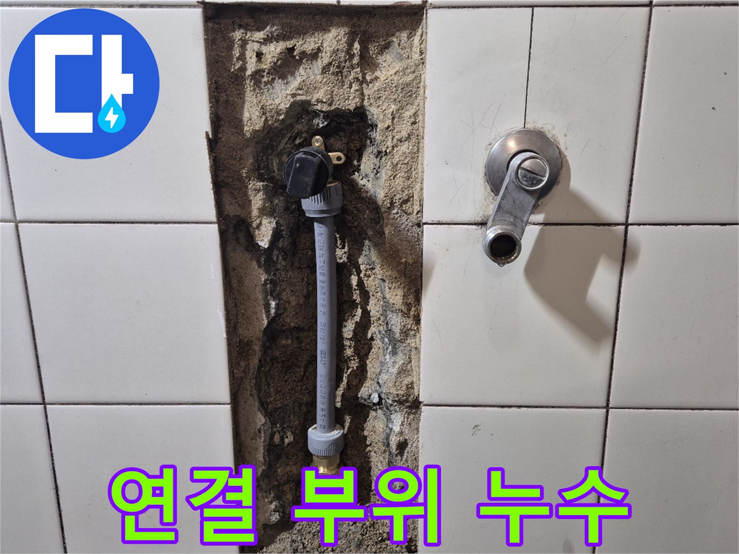 합정동 현대빌라 샤워기 연결 부위 누수 - 간단한 부품 교체로 완벽 해결