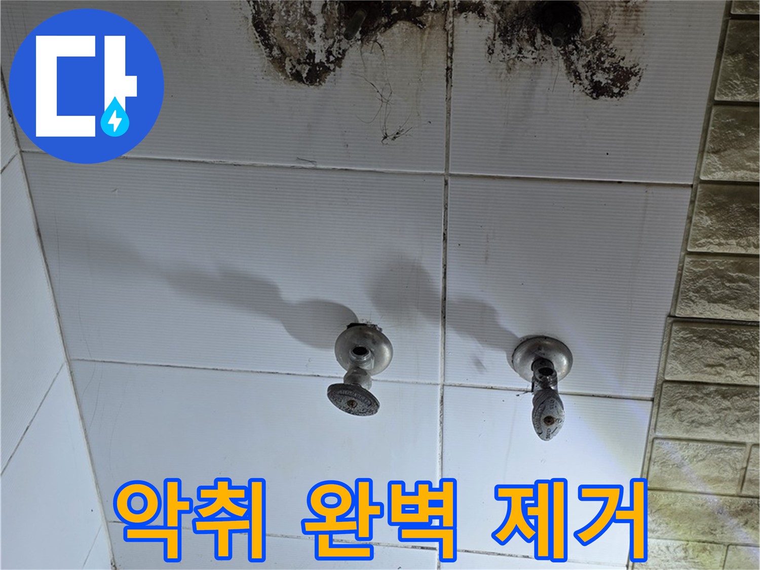 노원구 곰팡이 악취 욕실 - 누수 원인을 해결하고 곰팡이 냄새까지 완벽하게 제거해 드립니다.