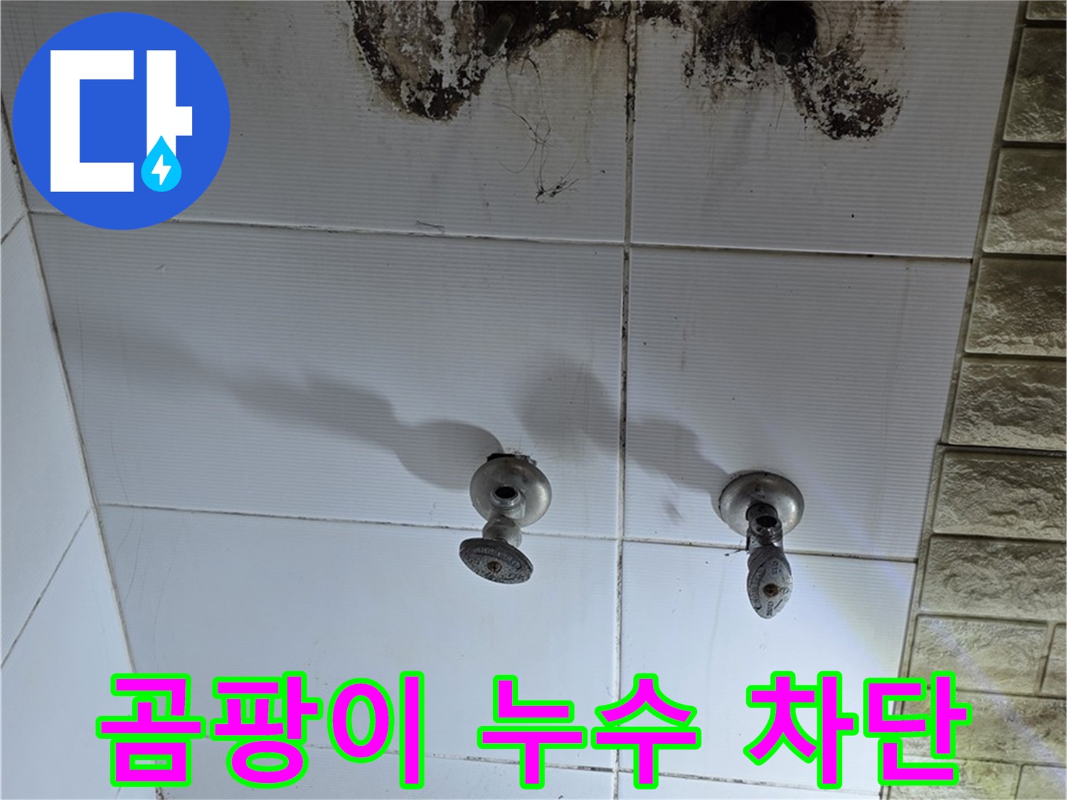 노원구 곰팡이 핀 욕실 벽 - 누수탐지 전문 기술로 곰팡이와 누수를 완벽하게 차단합니다.