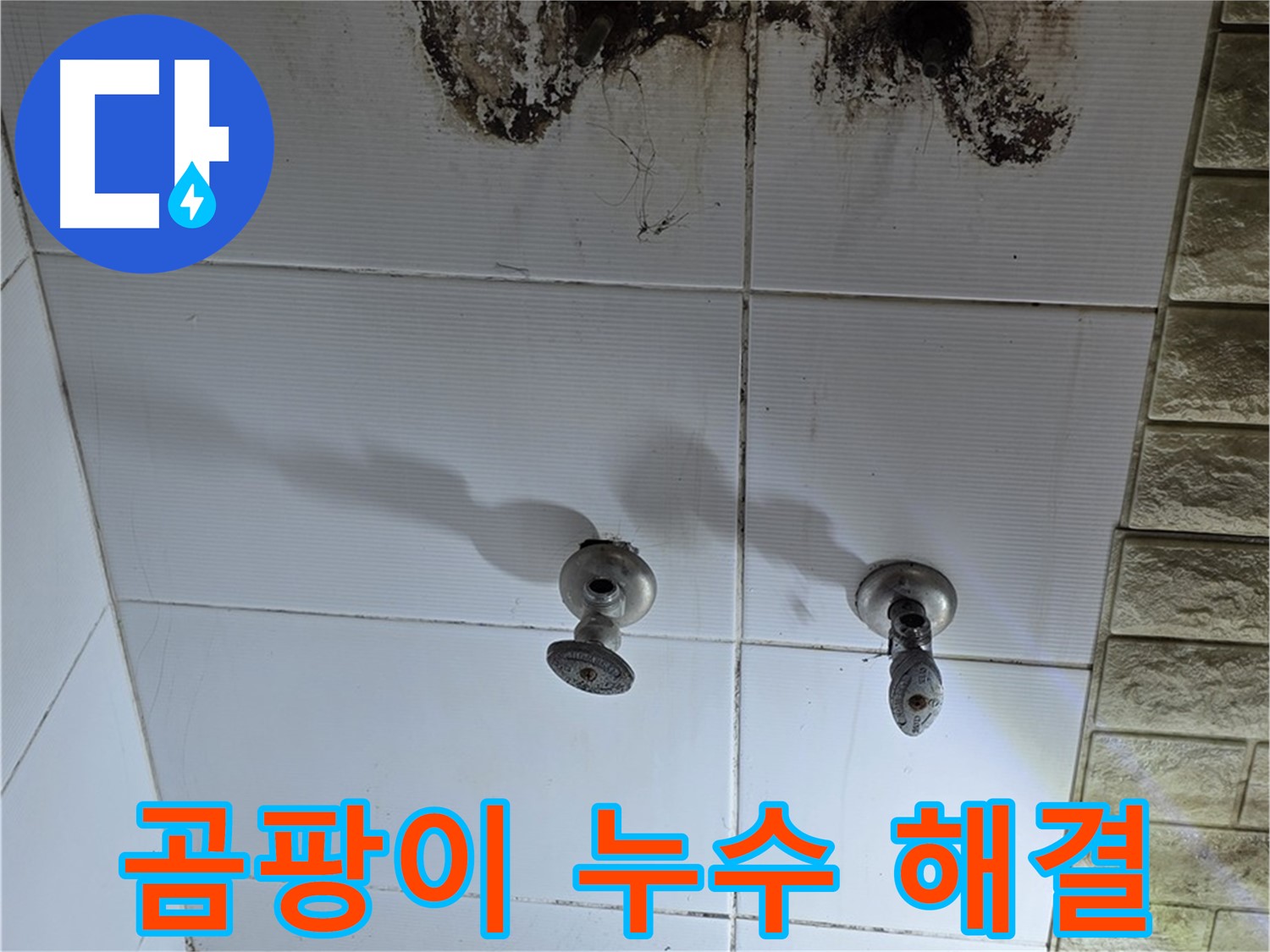 노원구 상계동 곰팡이 핀 욕실 벽 - 누수 잡고 곰팡이 OUT! 쾌적한 욕실을 만들어 드립니다.