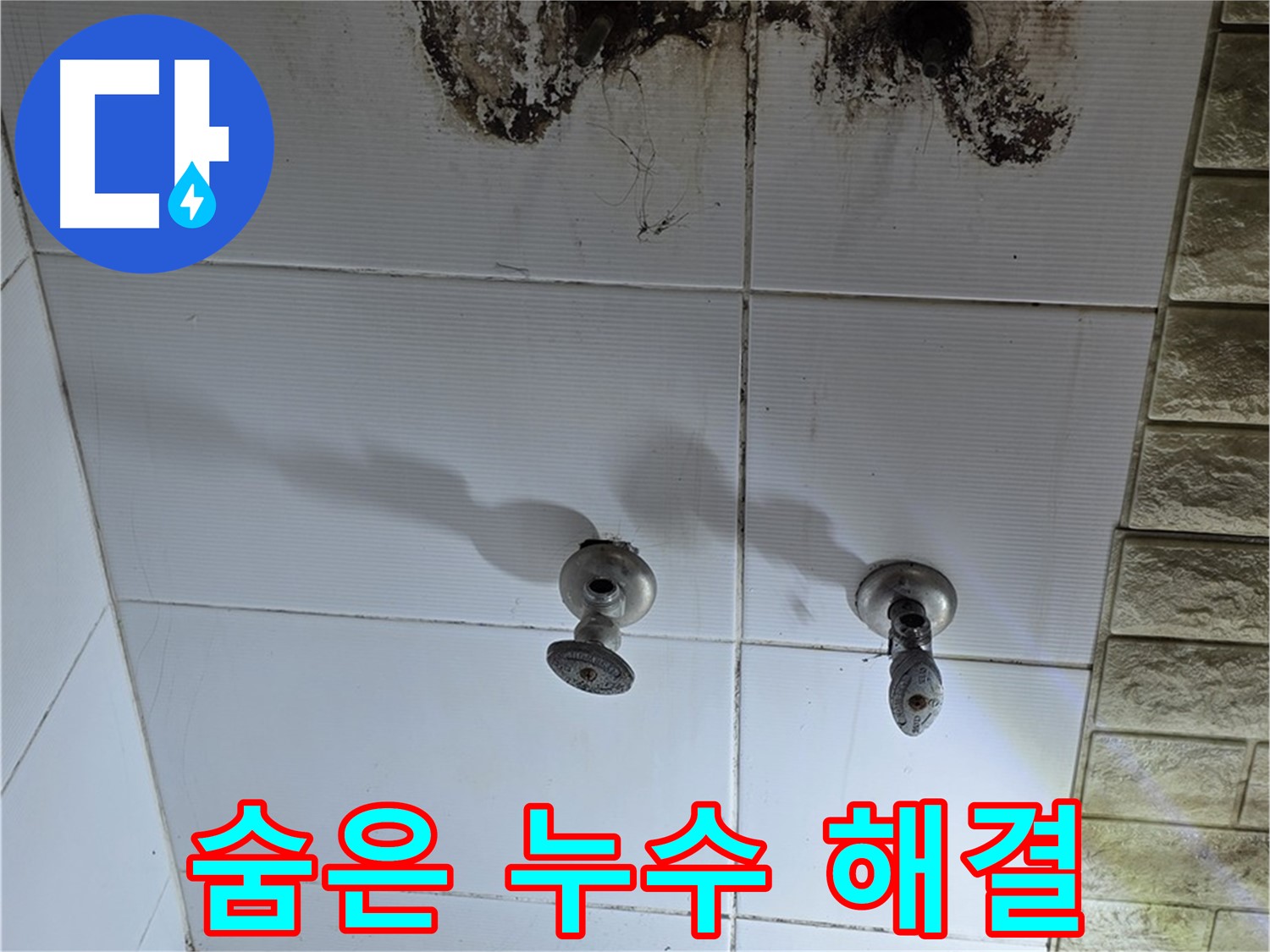 노원구 상계동 곰팡이 핀 욕실 - 숨겨진 누수, 이제 걱정 끝! 저희가 해결해 드립니다.