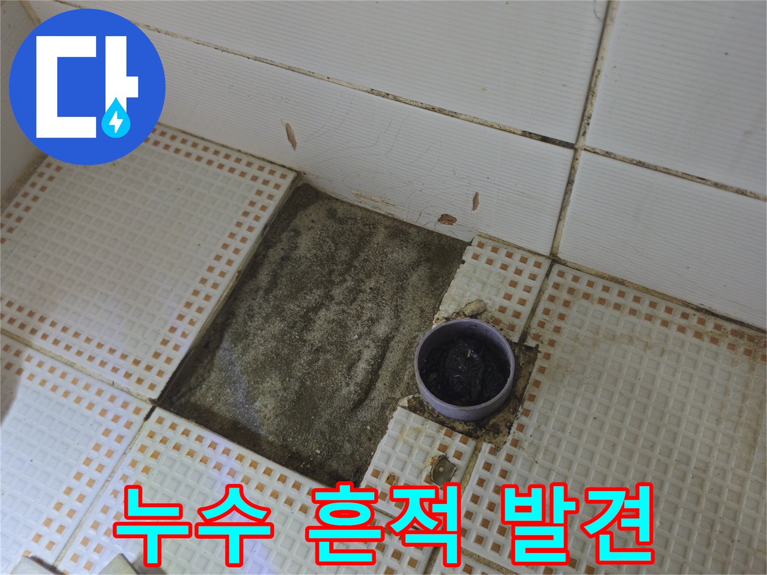 노원구 상계동 누수 - 욕실 배수구 주변에서 누수 흔적 발견