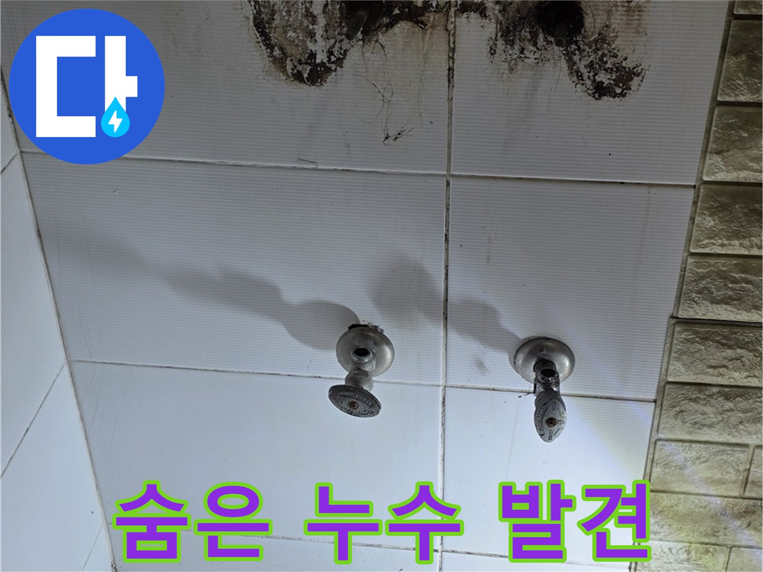 노원구 상계동 욕실 곰팡이 - 숨겨진 누수를 끝까지 찾아 해결하는 전문 업체를 소개합니다.