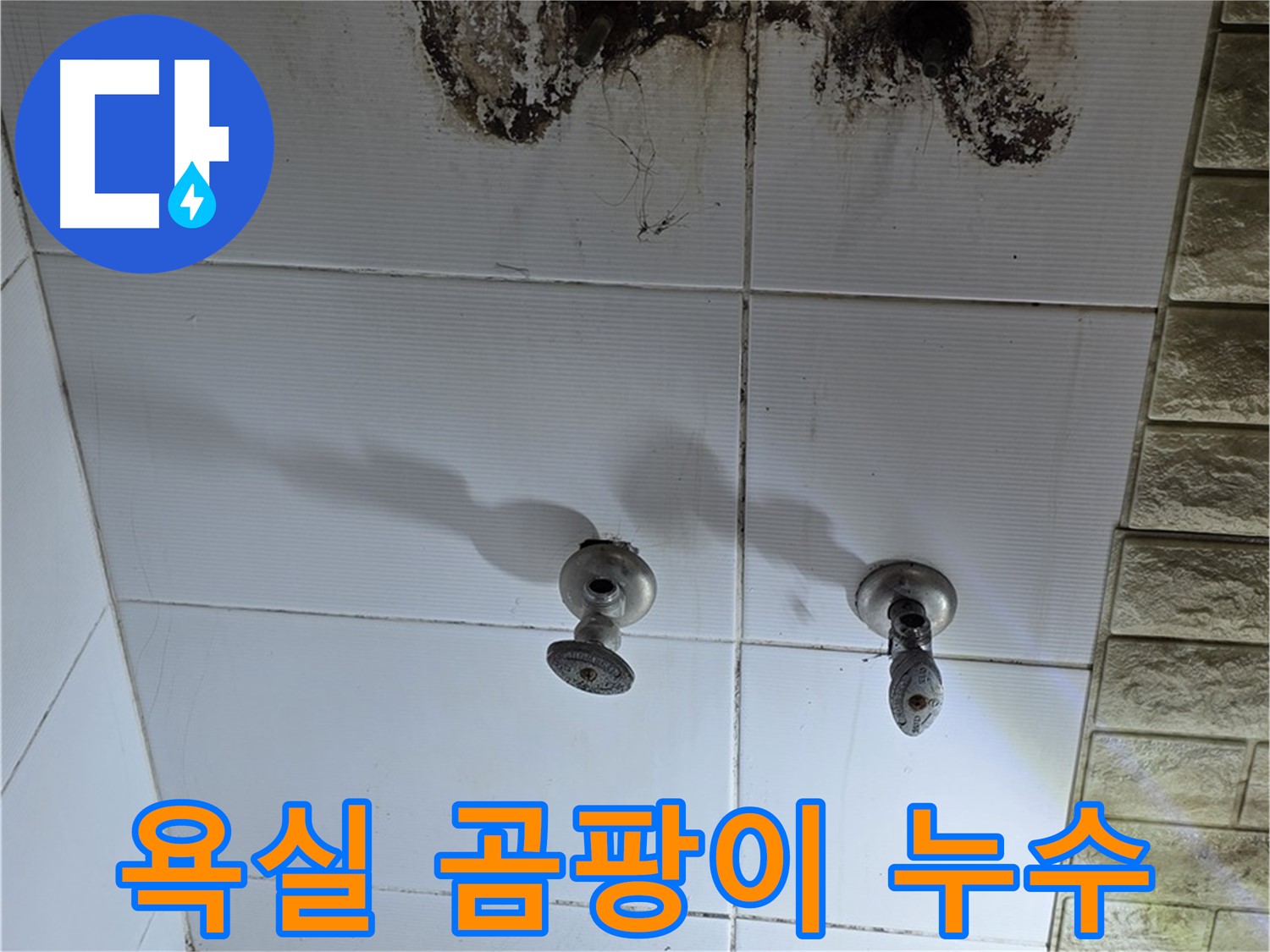 노원구 상계동 욕실 벽 곰팡이와 누수 - 전문적인 진단과 확실한 해결로 쾌적한 욕실을 되찾아 드립니다.
