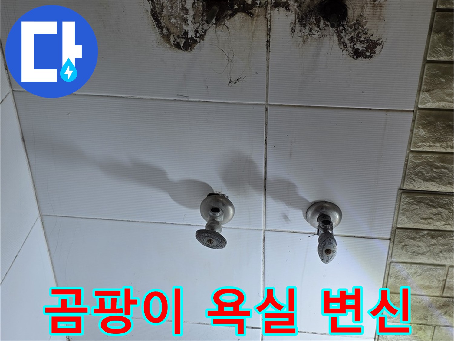 상계동 곰팡이 가득한 욕실 - 누수 문제를 해결하고 깨끗하게 변신시켜 드립니다.