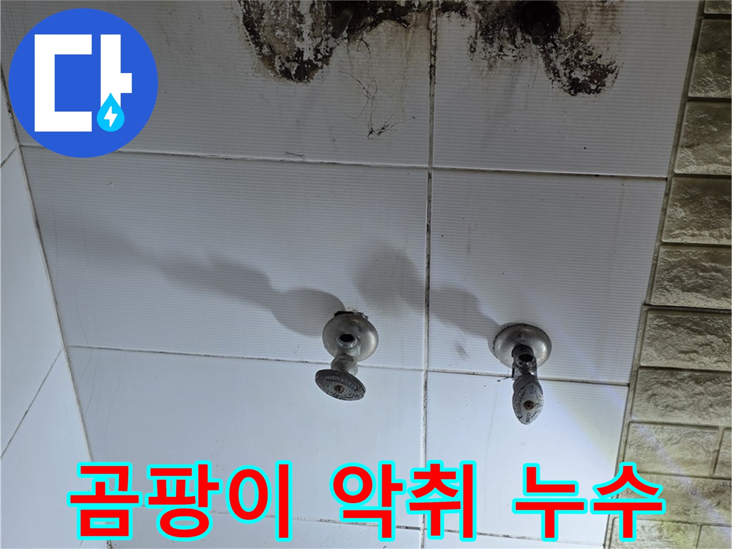 상계동 빌라 욕실 곰팡이 악취 - 누수 원인을 해결하고 곰팡이 냄새까지 완벽하게 제거해 드립니다.