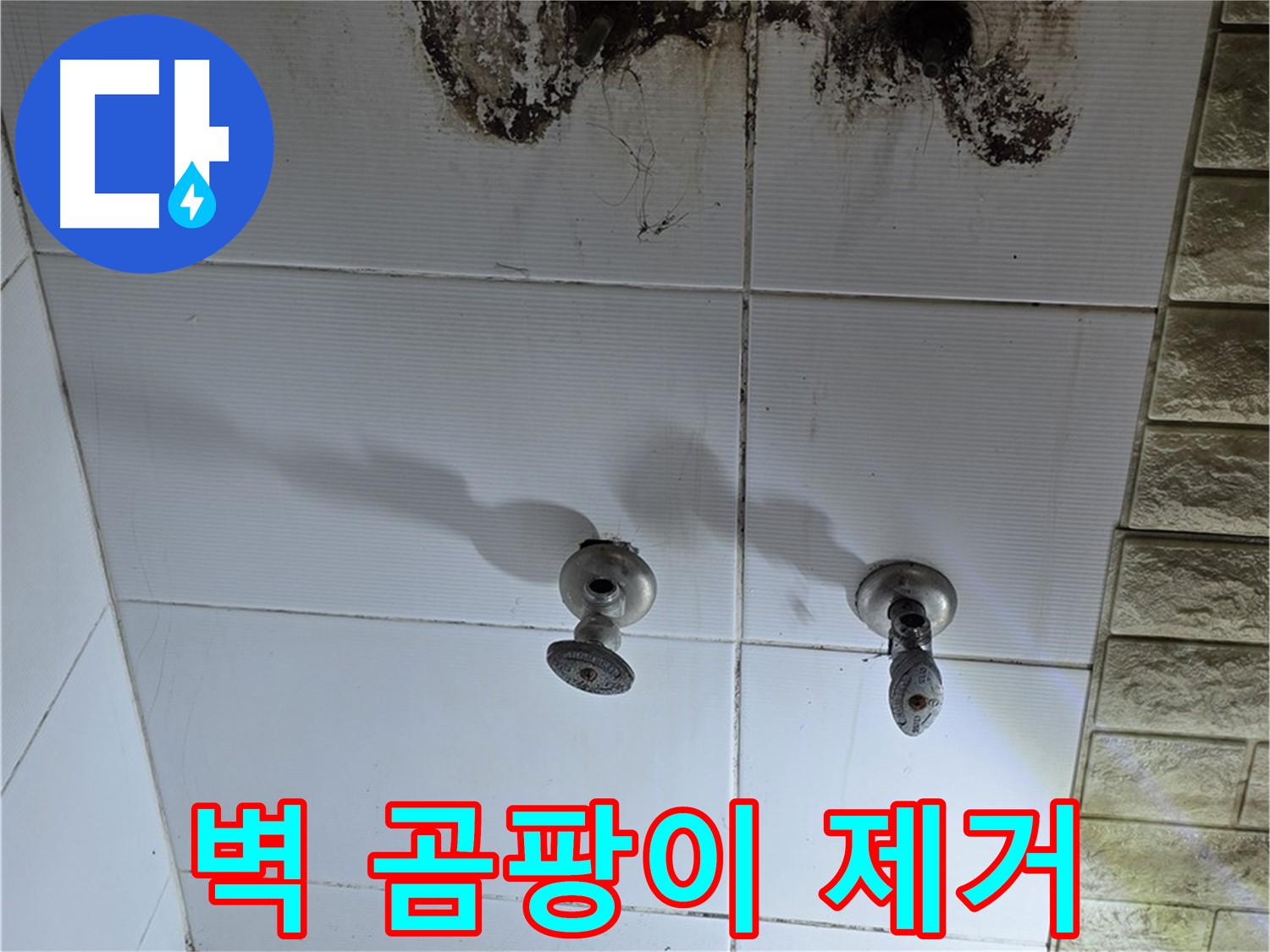 상계동 욕실 벽 곰팡이 제거 - 누수 원인을 먼저 해결해야 곰팡이 재발을 막을 수 있습니다.