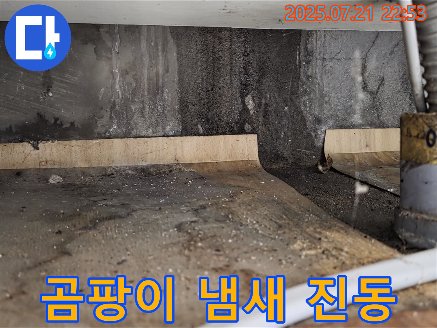 남양주시 진건읍 사릉리 싱크대 하부 - 물이 고여 곰팡이 냄새가 진동하는 상황입니다!