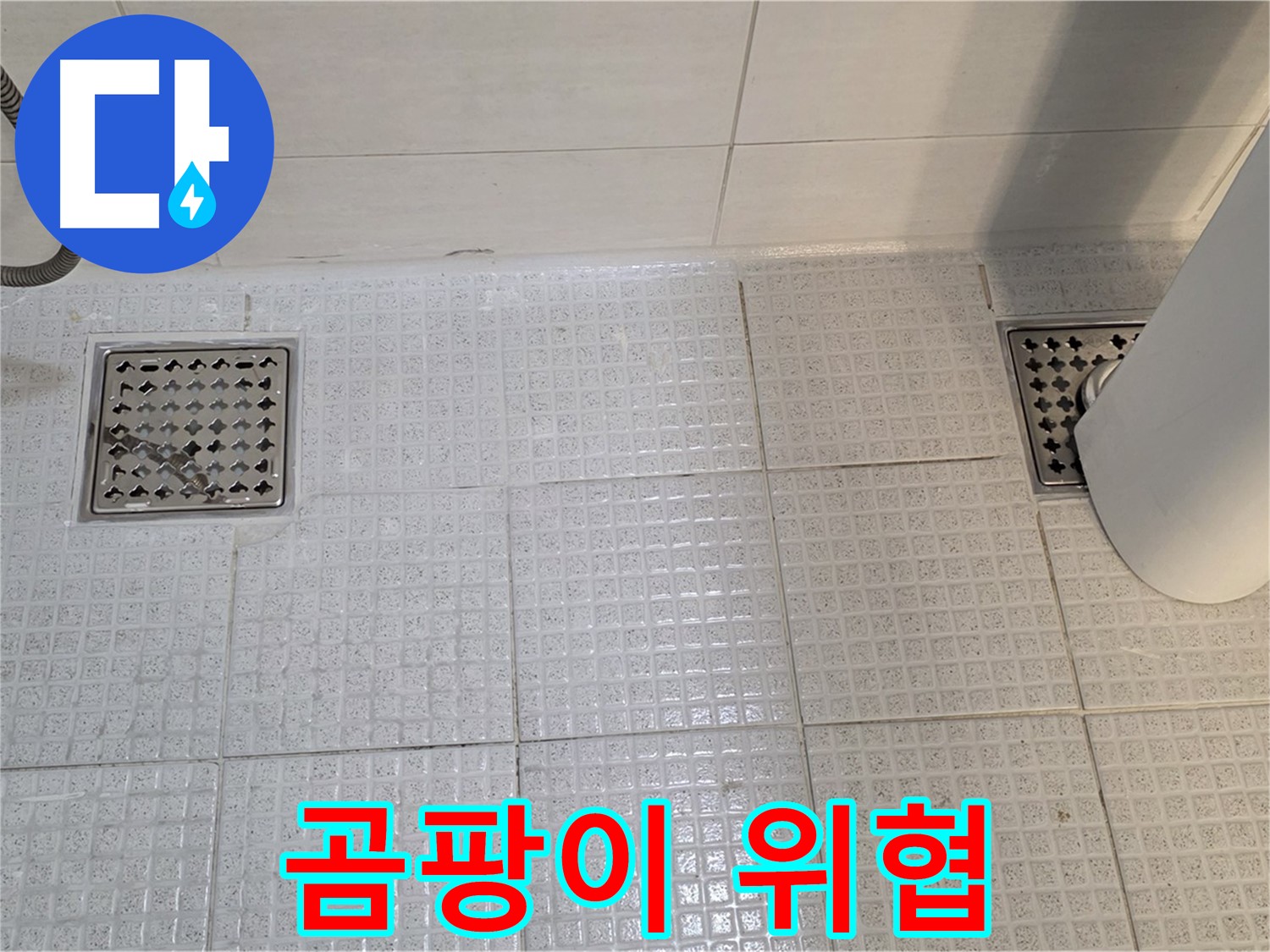 과천 문원동 욕실 - 배수구 주변 곰팡이는 건강을 위협할 수 있습니다 - 즉시 제거하세요