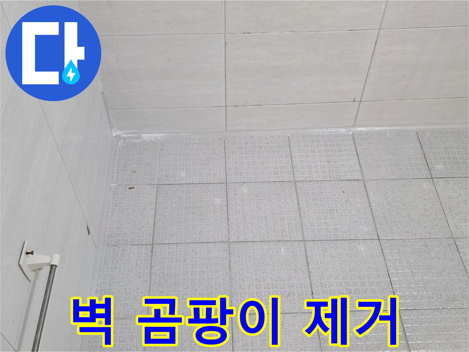 과천 욕실 벽 타일 곰팡이 제거 후 누수 방지 시공 - 누수 전문가의 꼼꼼한 시공