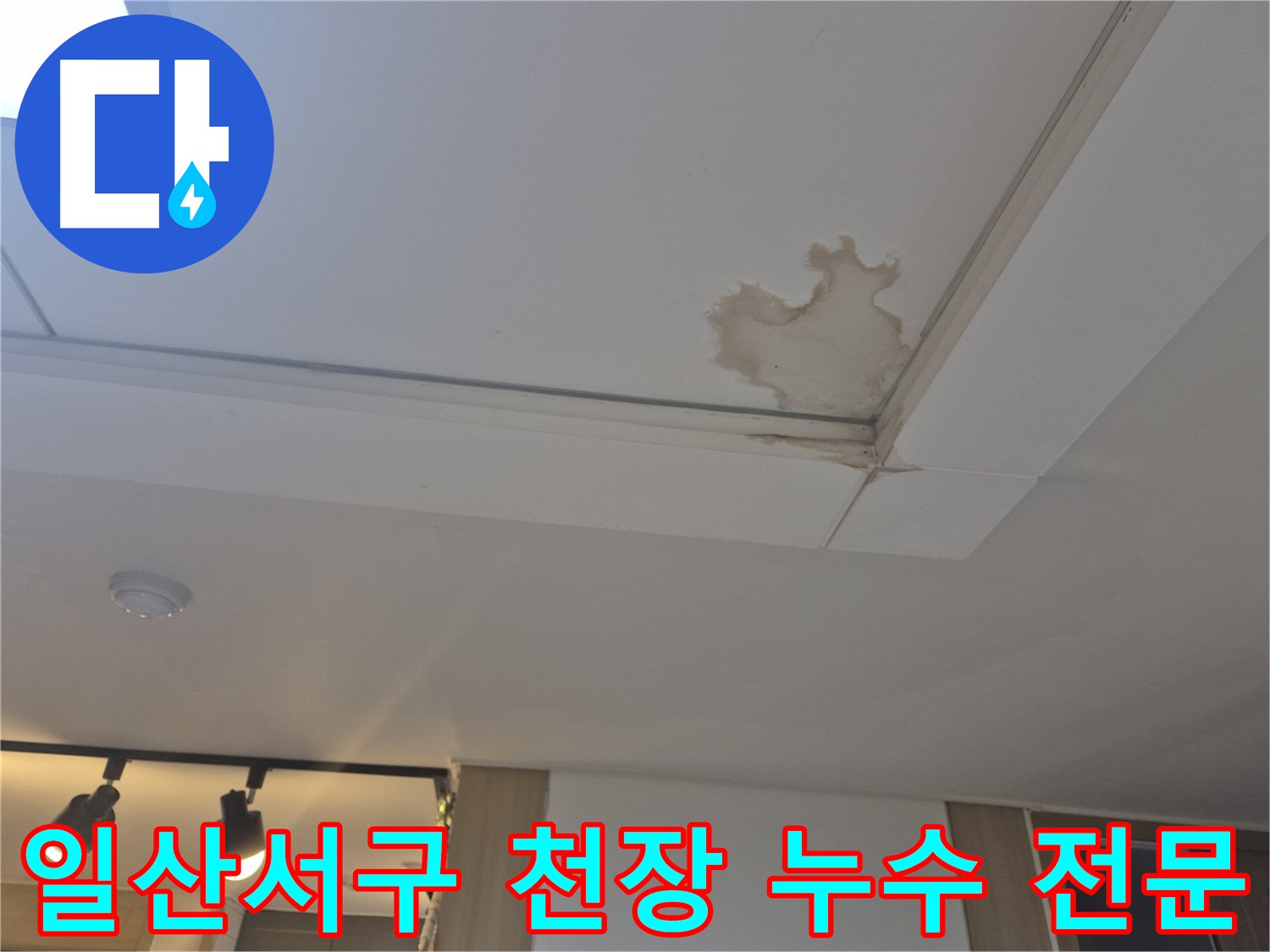 고양시 일산서구 아파트 천장 누수 - 곰팡이 제거 및 방수 시공으로 쾌적한 실내 환경 조성