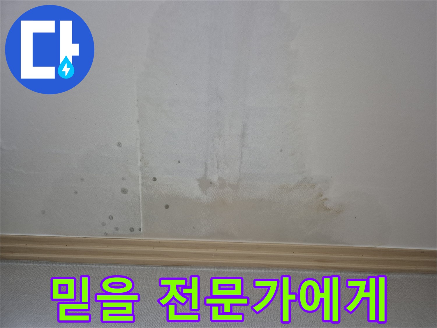 고양시 일산서구 천장 누수 공사 - 믿을 수 있는 누수 전문가의 책임 시공