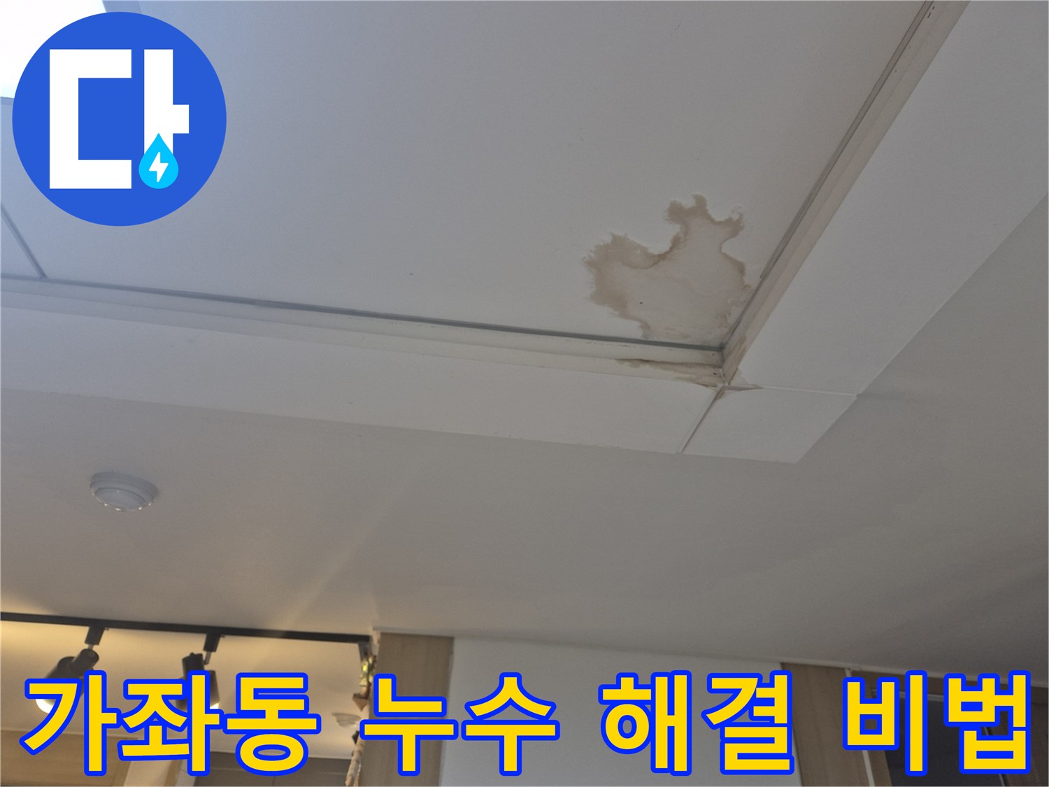일산 가좌동 아파트 천장 누수 - 완벽 해결 비법 공개 - 첨단 장비 활용