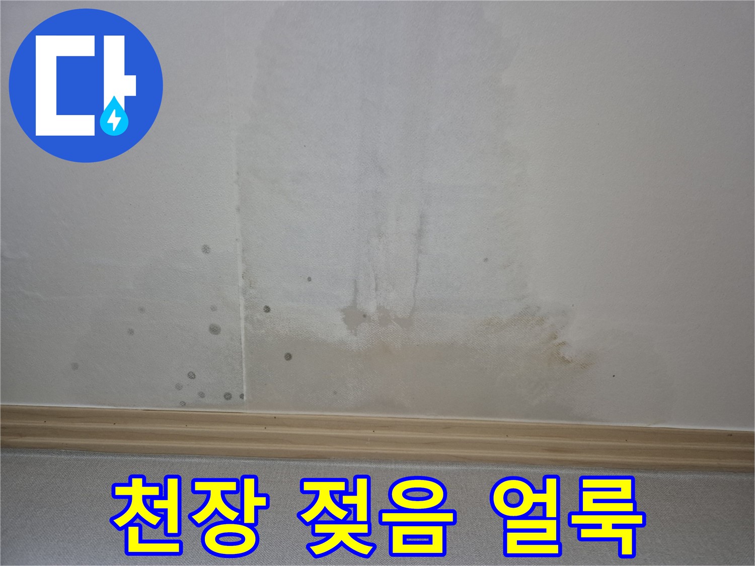 젖은 천장과 얼룩 - 곰팡이 발생 위험을 경고하는 사진
