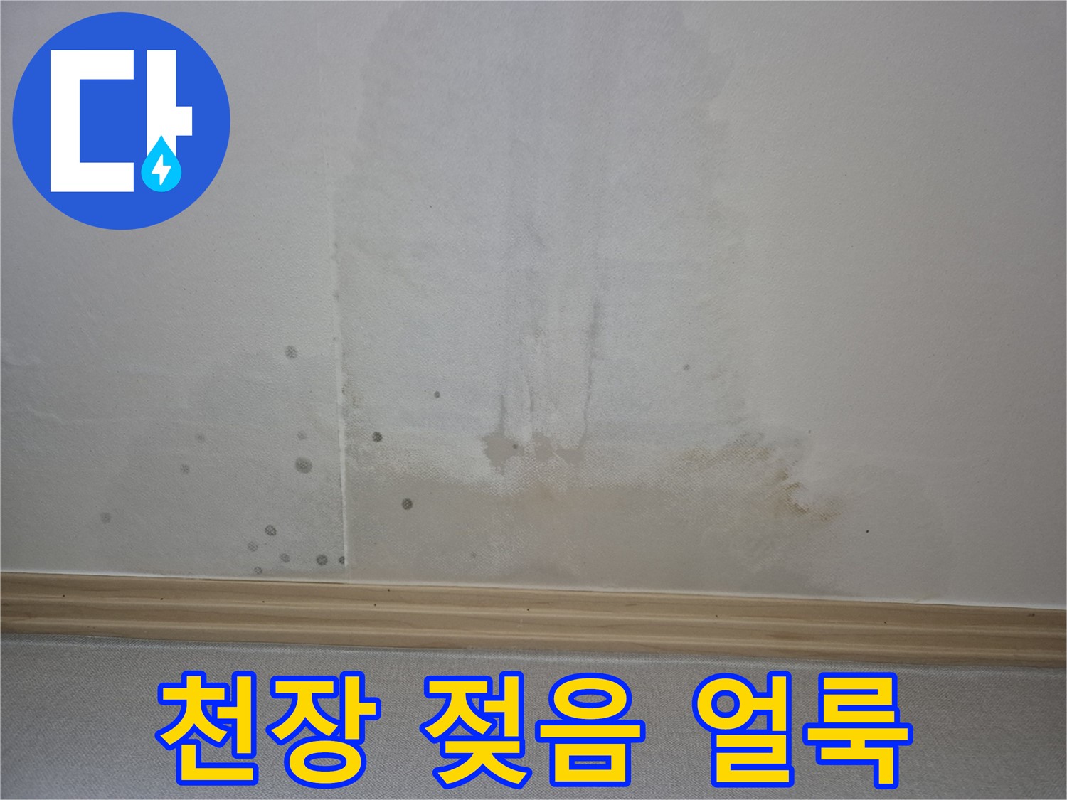 젖은 천장과 얼룩 - 곰팡이 발생 위험을 경고하는 사진