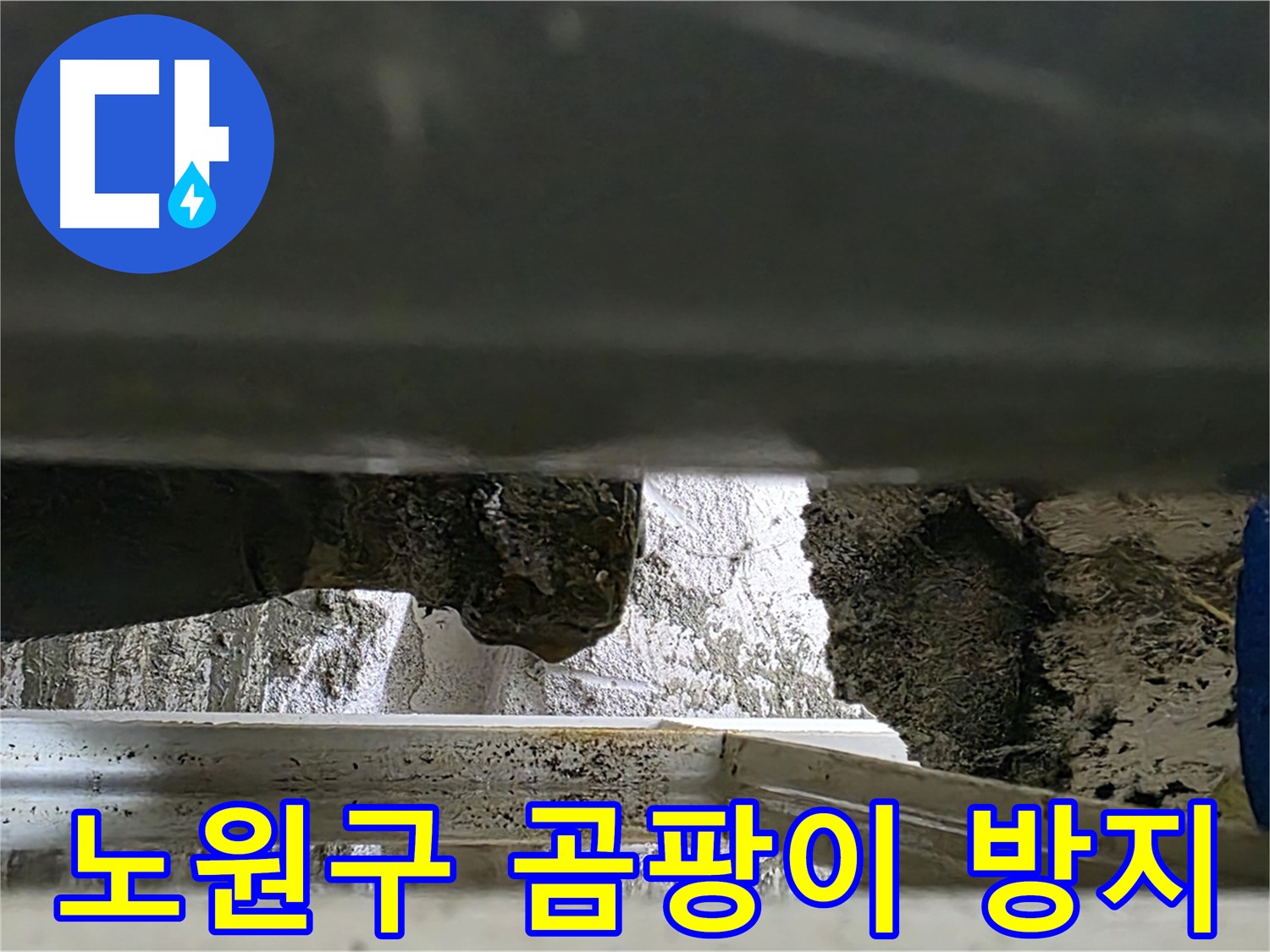 노원구 아파트 천장 누수 - 곰팡이 방지 시공으로 깨끗하게 해결