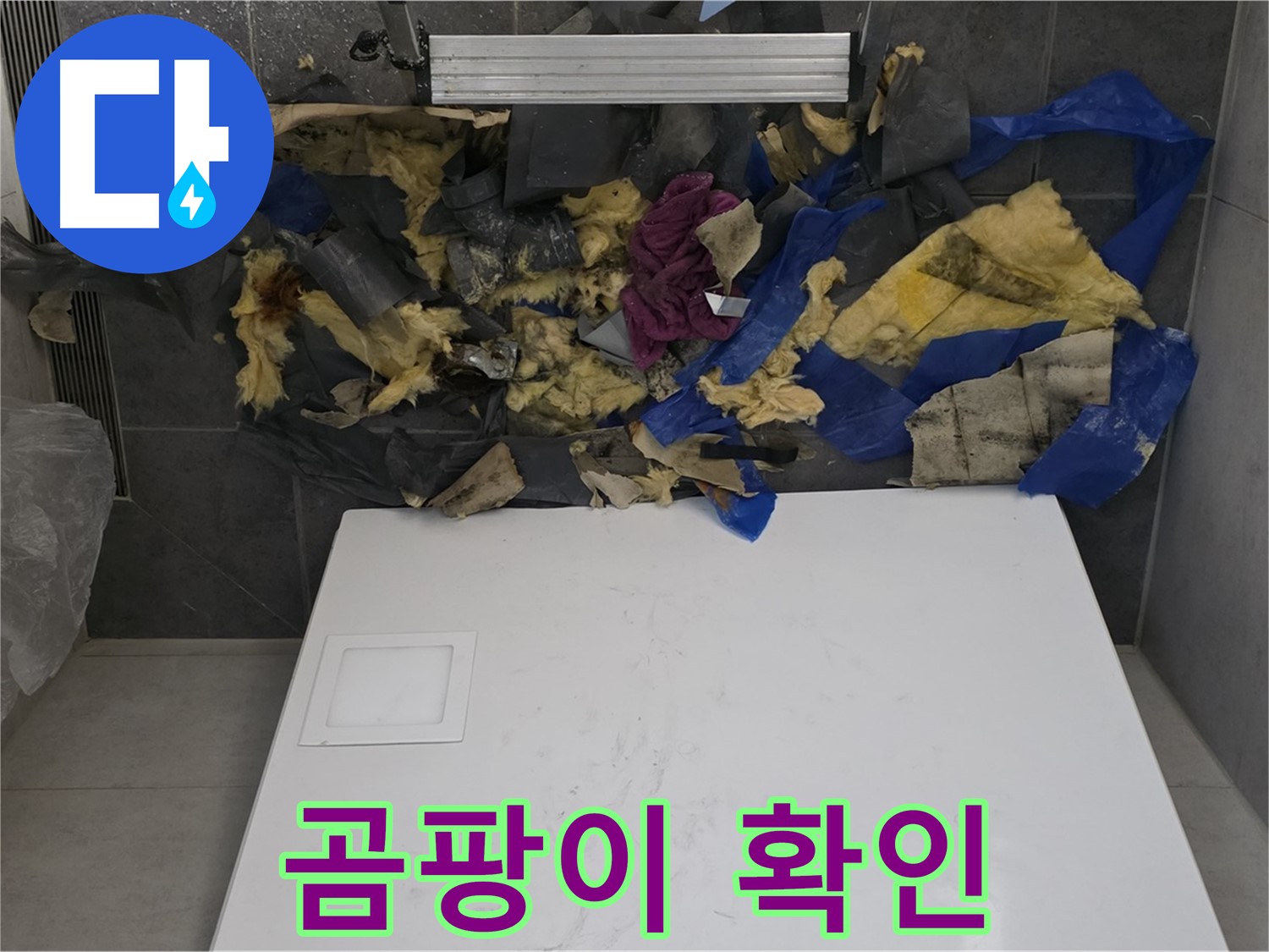 노원구 중계동 라이프청구신동아 108동 욕실 천장 - 젖은 폐기물의 곰팡이 오염 상태 상세 확인