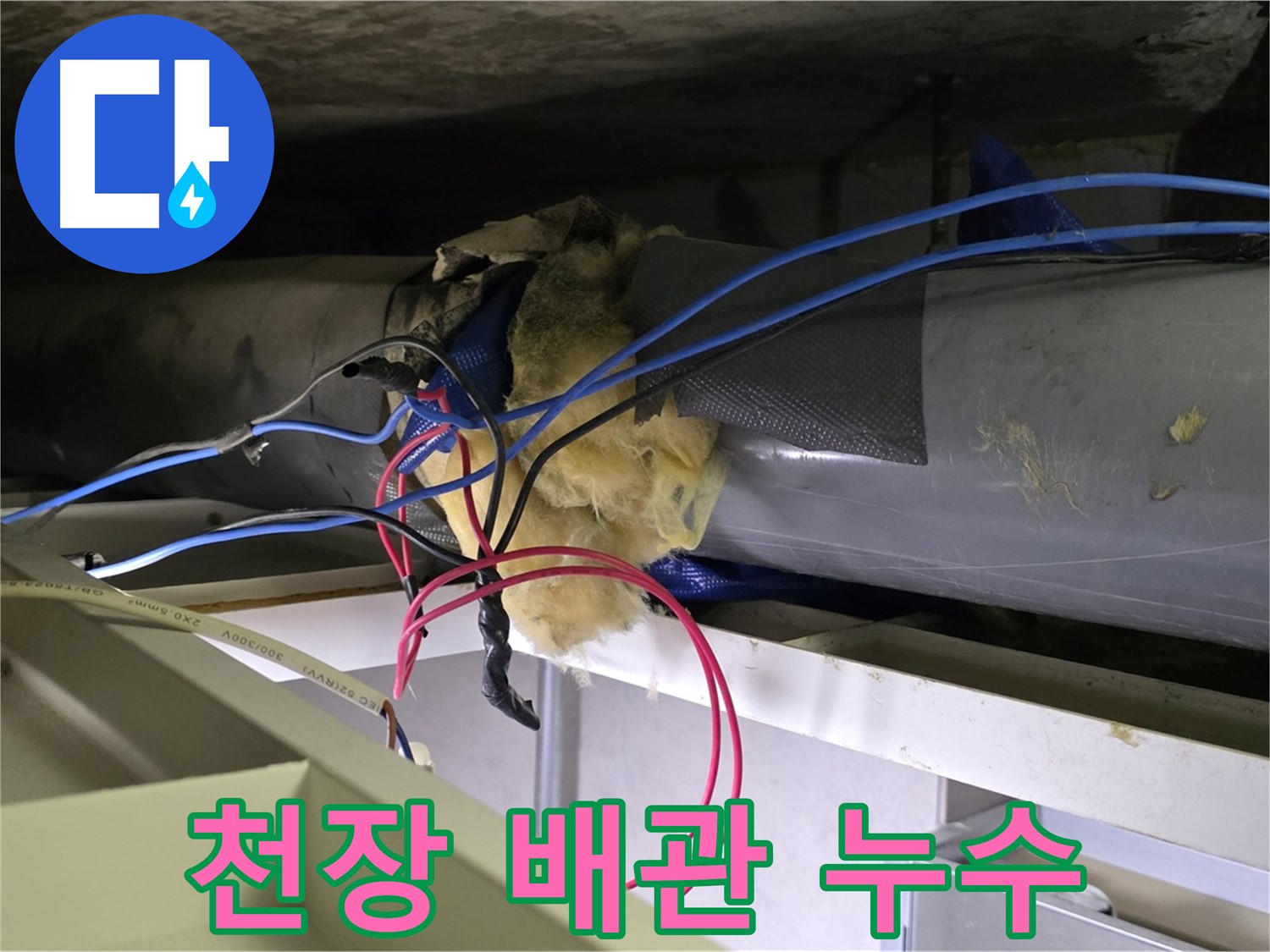 노원구 중계동 라이프청구신동아 아파트 천장 배관 누수 발생 - 누수탐지 및 누수 공사 진행