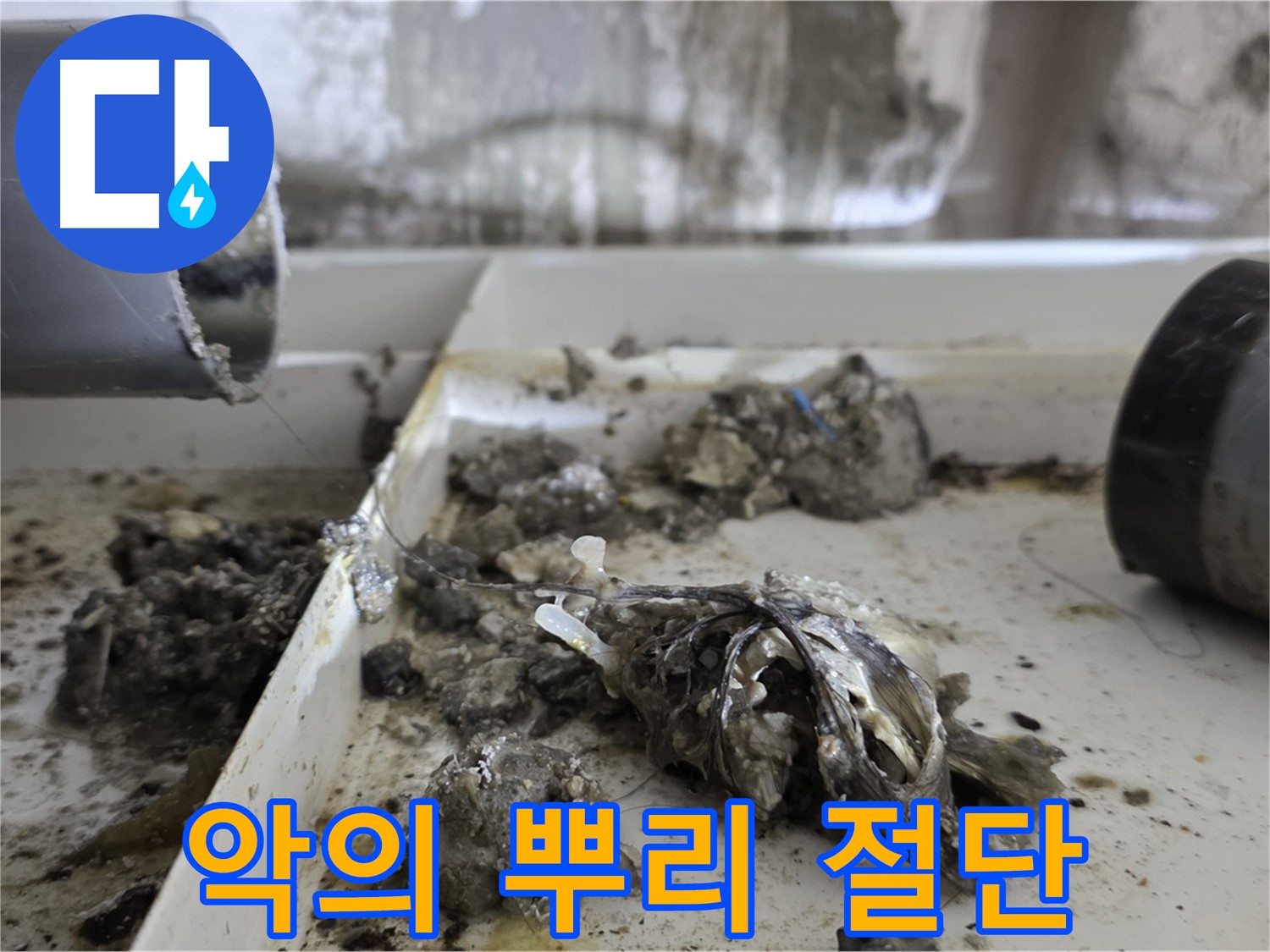 노원구 중계동 라이프청구신동아아파트 - 배관 속 '악의 뿌리' 완전 절단, 누수 공포 극복