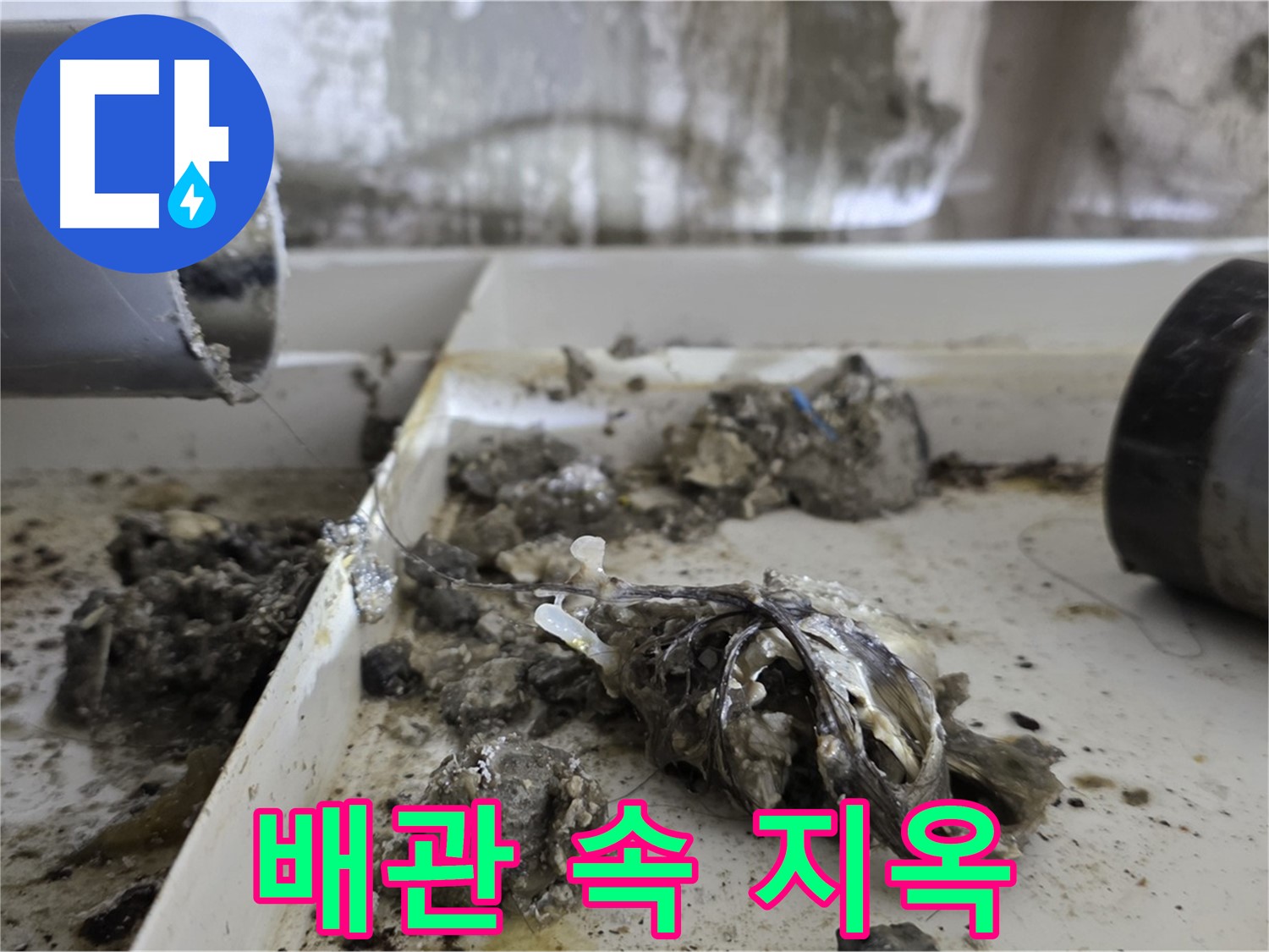 노원구 중계동 라이프청구신동아아파트 - 배관 속 '지옥' 탈출, 누수 해결 프로젝트