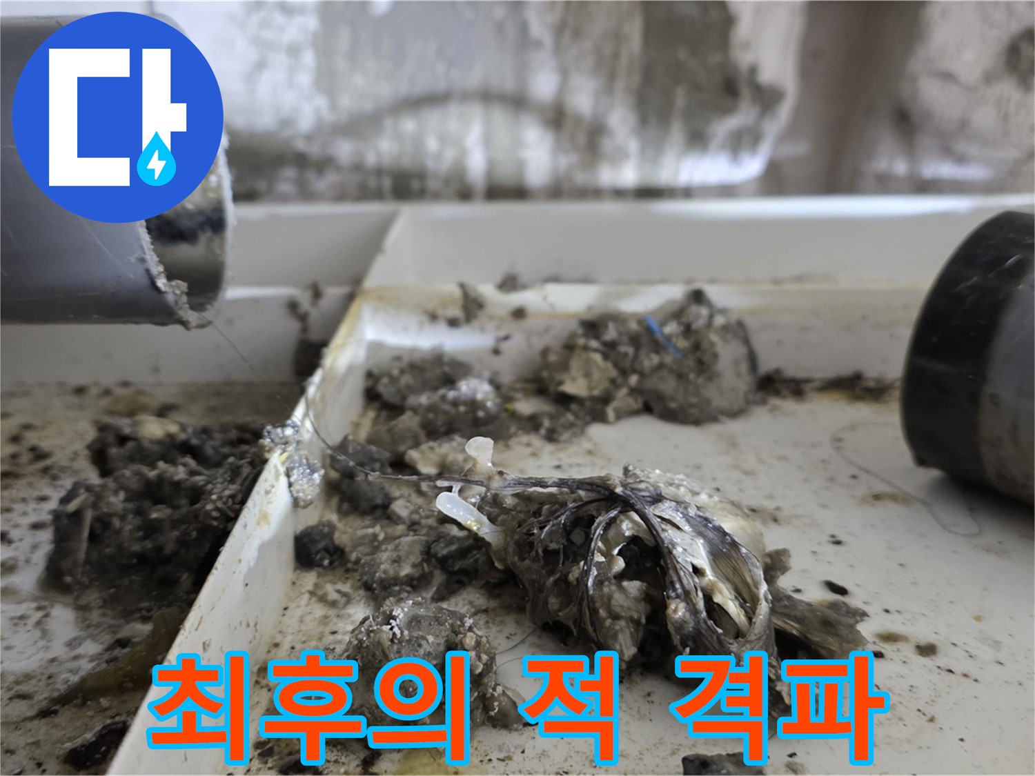 노원구 중계동 라이프청구신동아아파트 - 배관 속 '최후의 적' 완전 격파, 누수와의 전쟁 승리