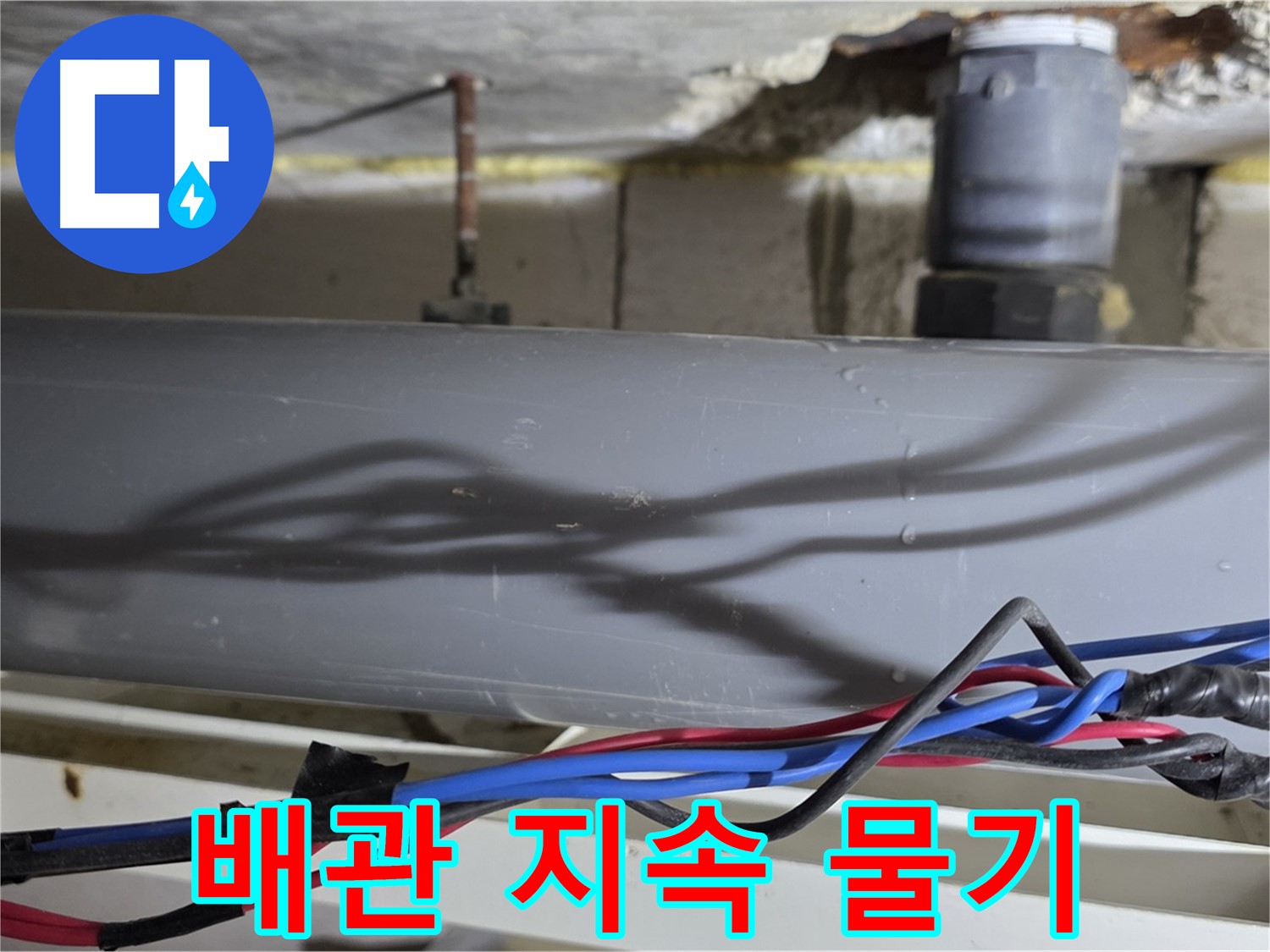 노원구 중계본동 라이프청구신동아 아파트 배관 누수 - 지속적인 물기, 정밀 진단으로 해결!