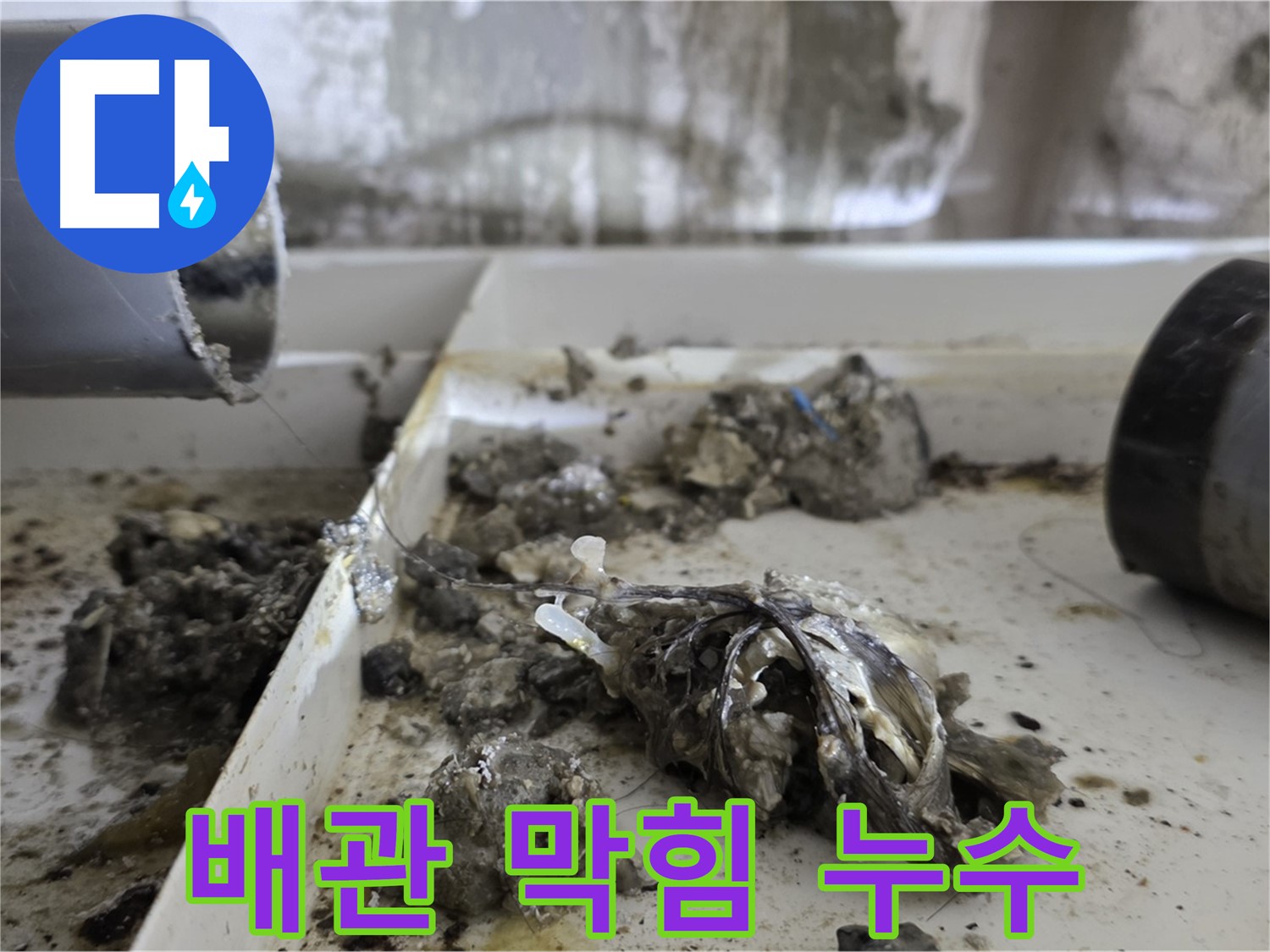 심각한 배관 막힘으로 인한 누수 - 노원구 중계동 라이프청구신동아아파트에서 발생